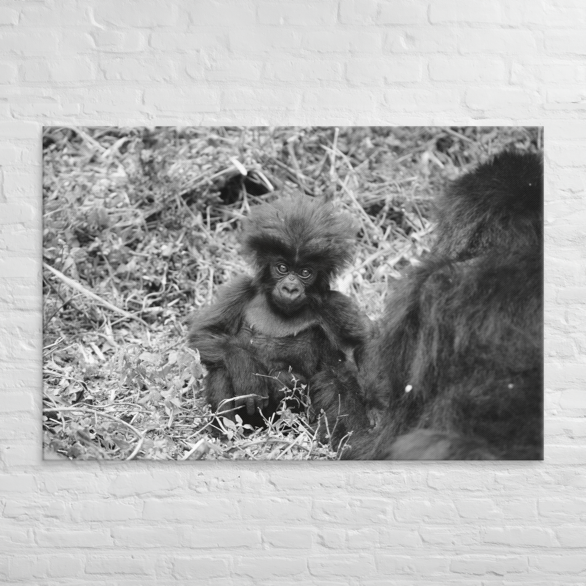 Stretched Canvas Print (SDI-348)