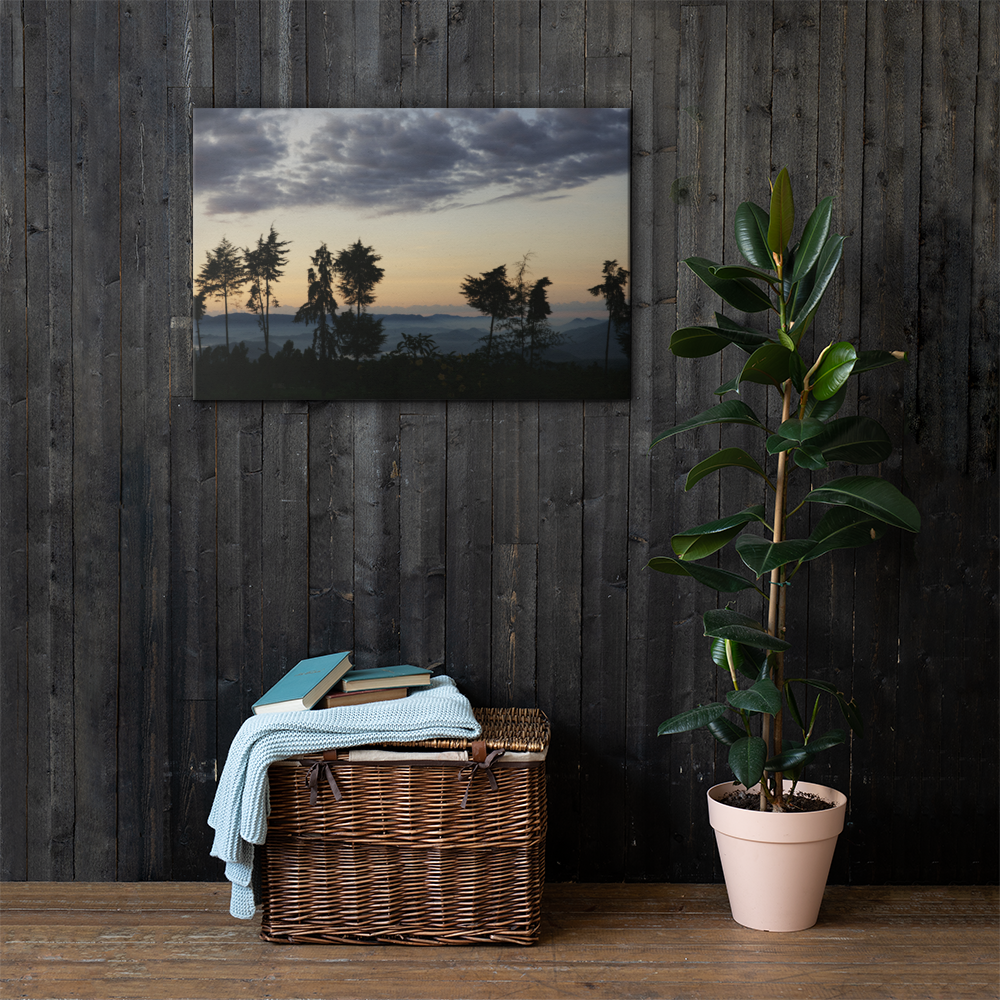 canvas-(in)-24x36-lifestyle-1-6a38624842c09.png
