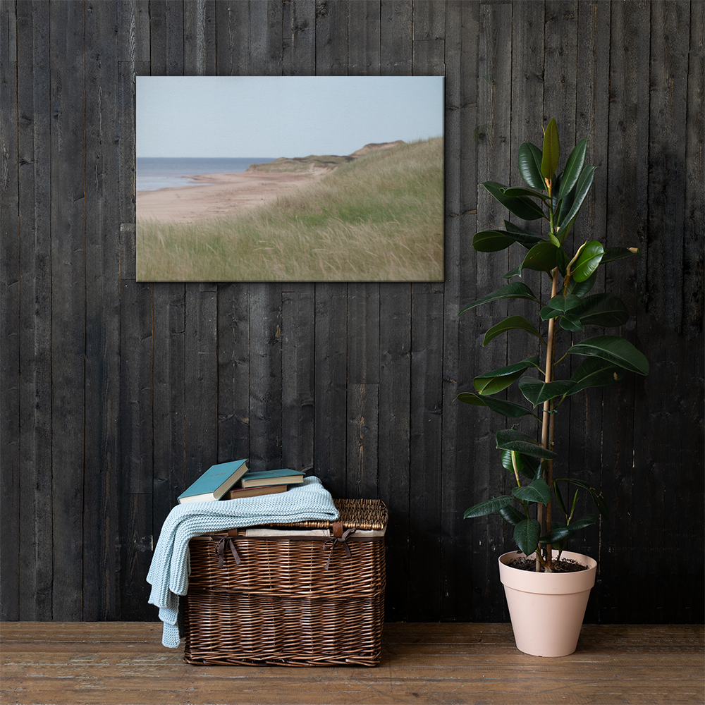 canvas-(in)-24x36-lifestyle-1-6a385d7f4fcb4.png