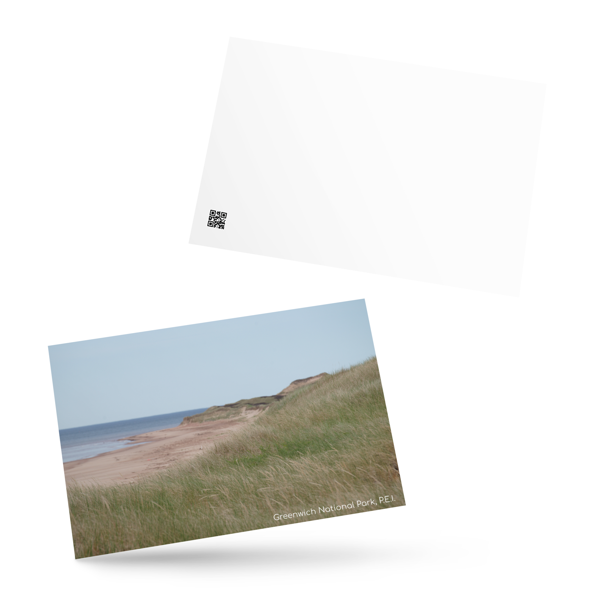 standard-postcard-4x6-front-6a34788851bbd.png