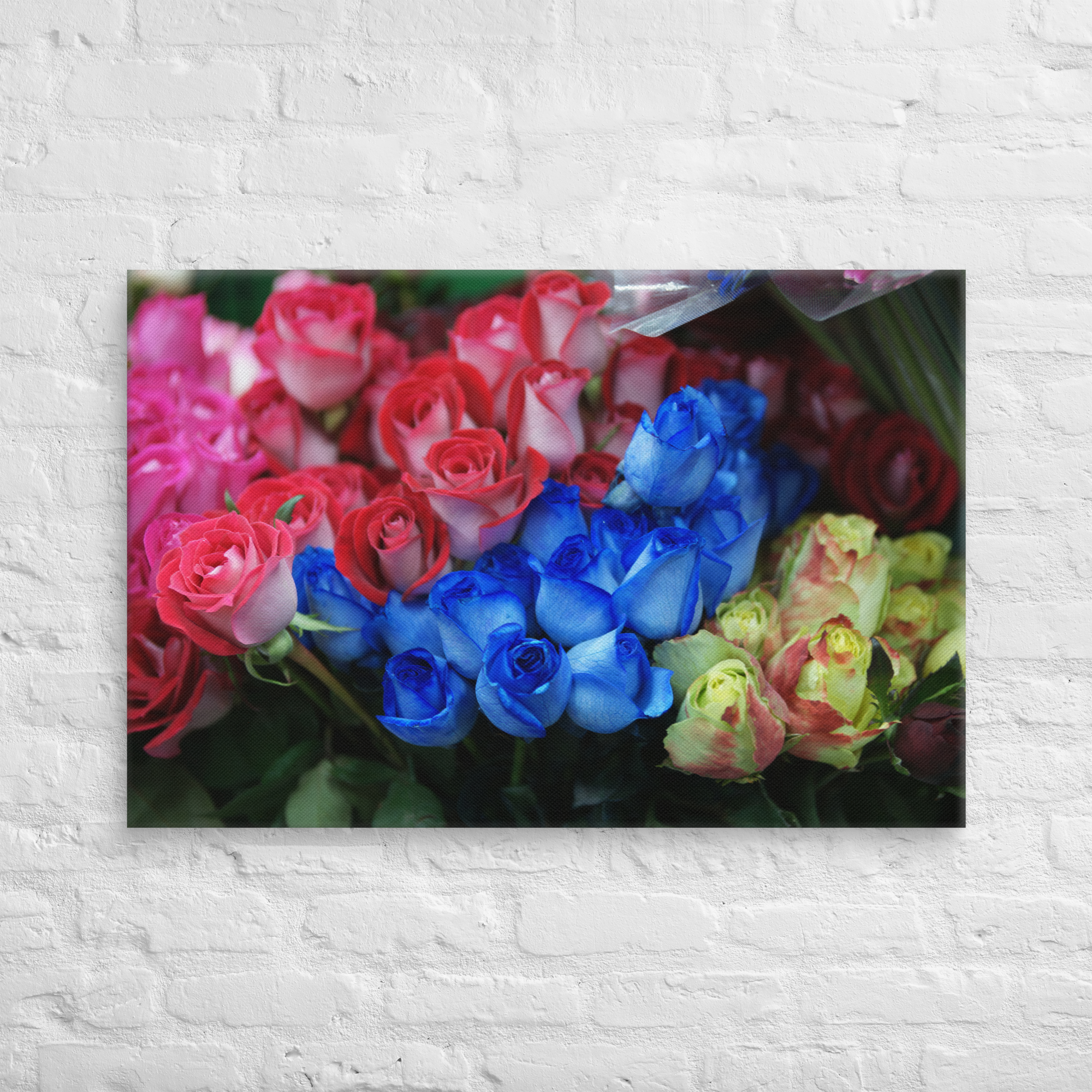 canvas-(in)-24x36-front-6a3ddaf4322cf.png