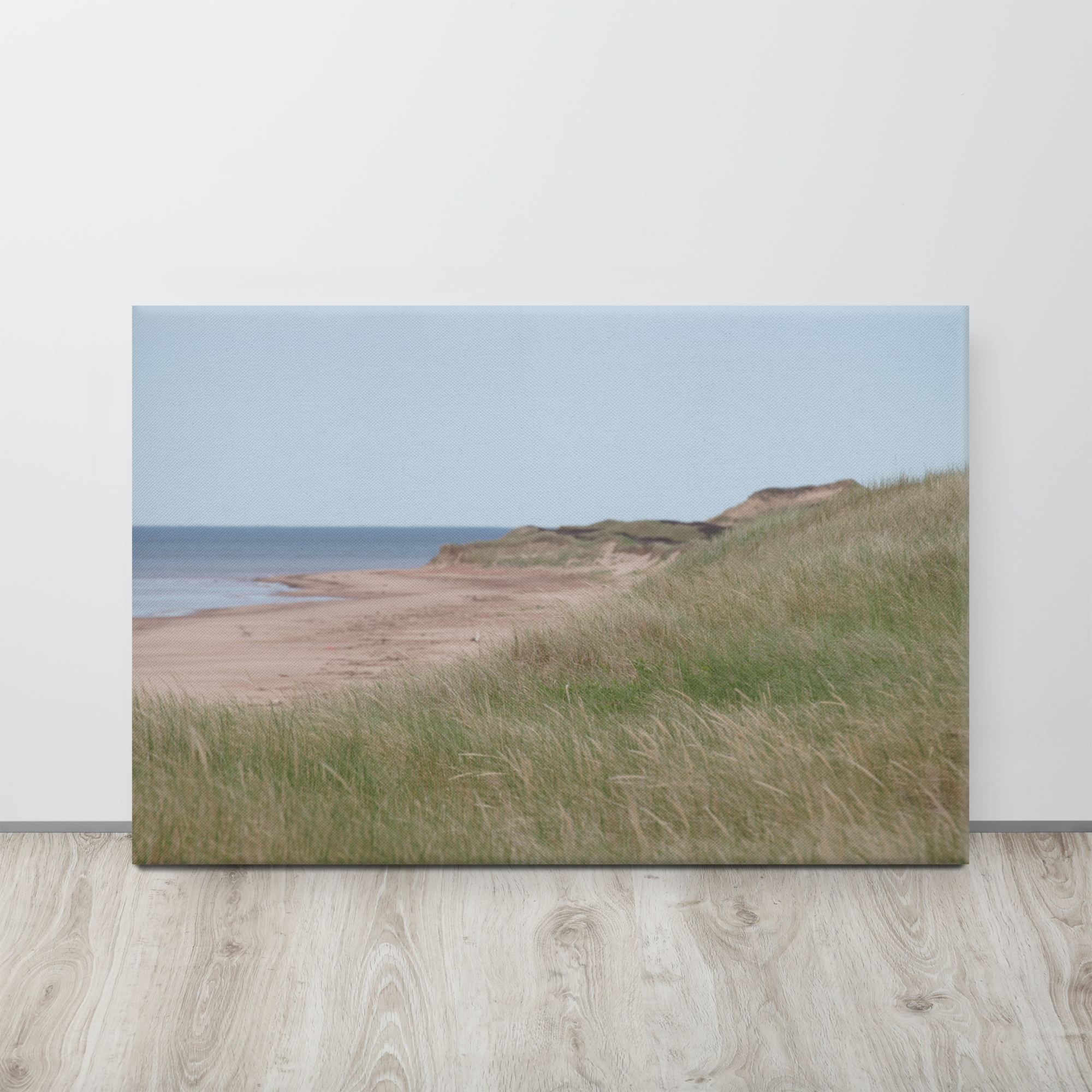Stretched Canvas Print (SDI-010)