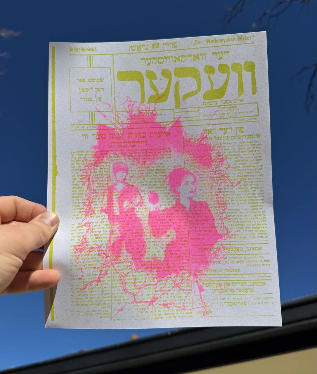 PRE-ORDER: Here Where We Live is Our Country by Molly Crabapple