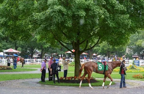 Why “Purse Chasing” Is a Losing Strategy for Owners