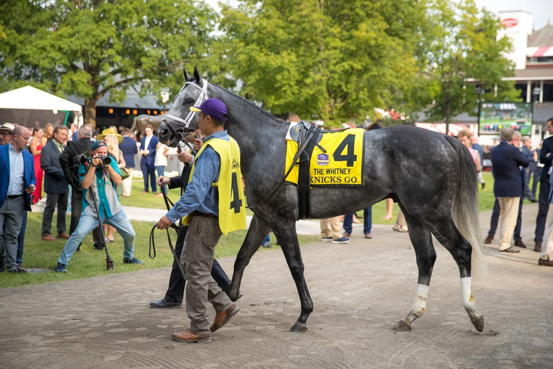 The Silent Killer: Overtraining in Lightly Raced Horses