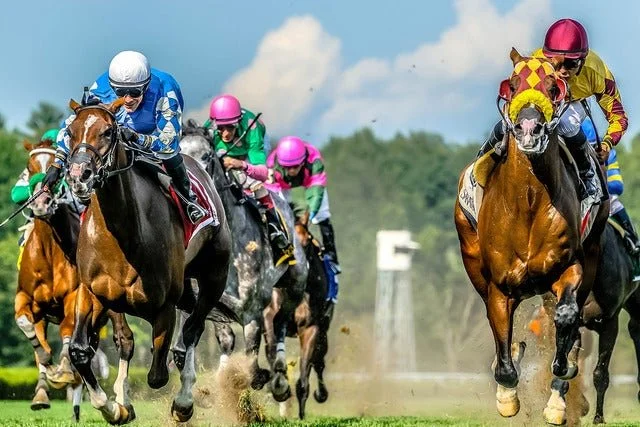 More Than Metal: Why Horses Wear Racing Plates