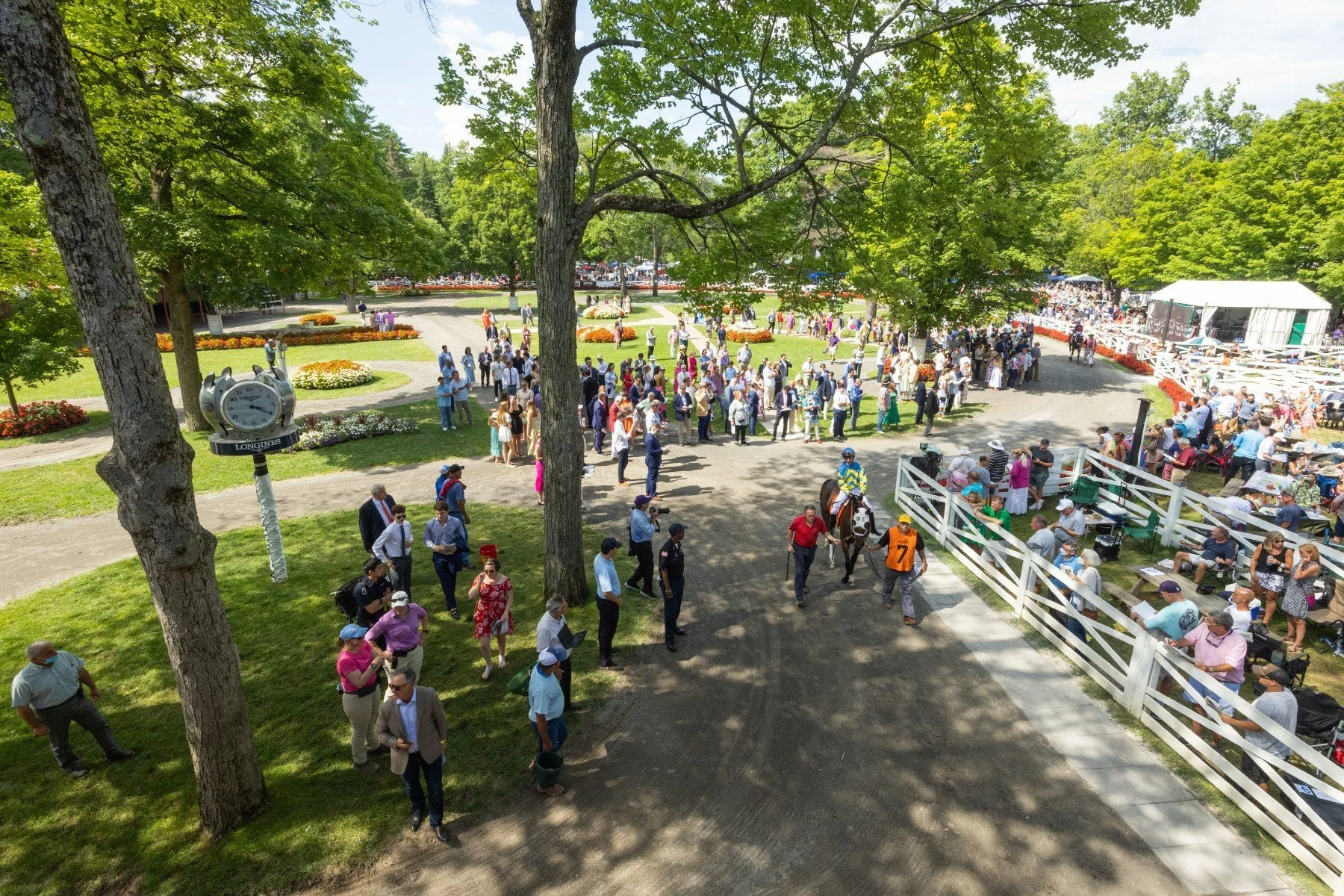 Saratoga Paddock before a race