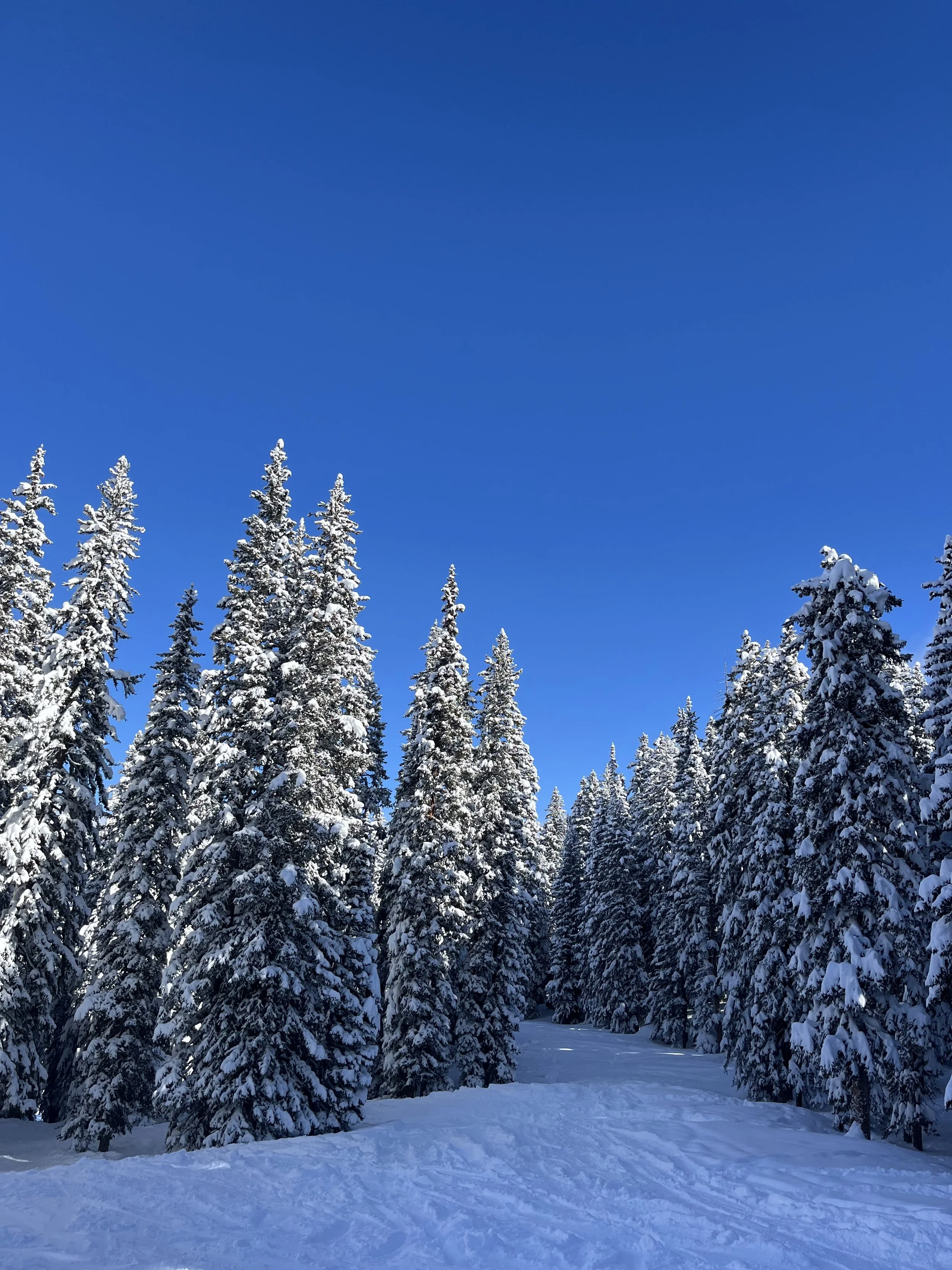 Salt Lake City 2024 ⛷️