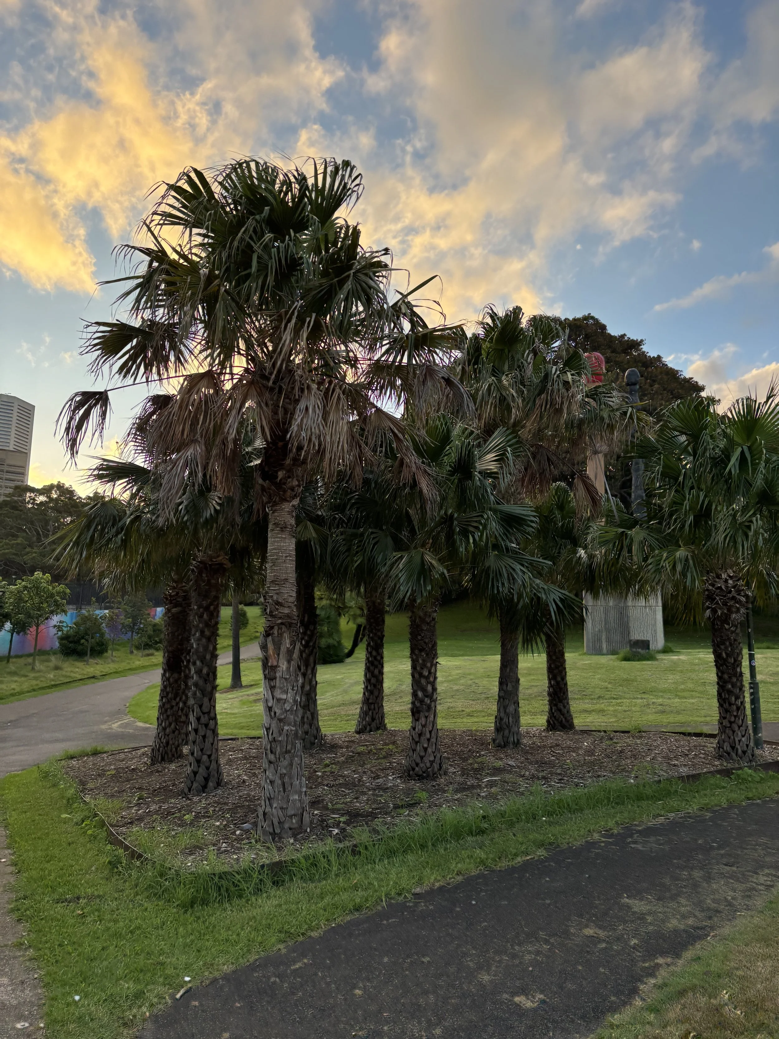 Sydney, Australia 2025