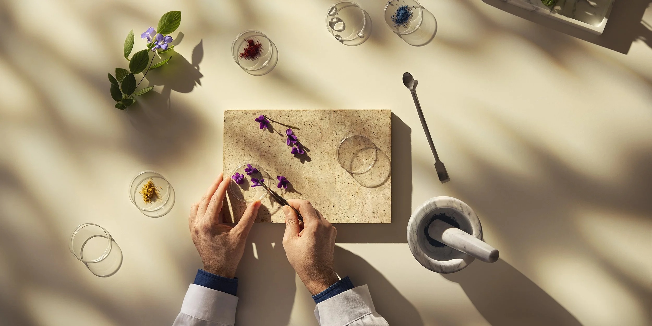 Cosmetica Italia_05.jpg