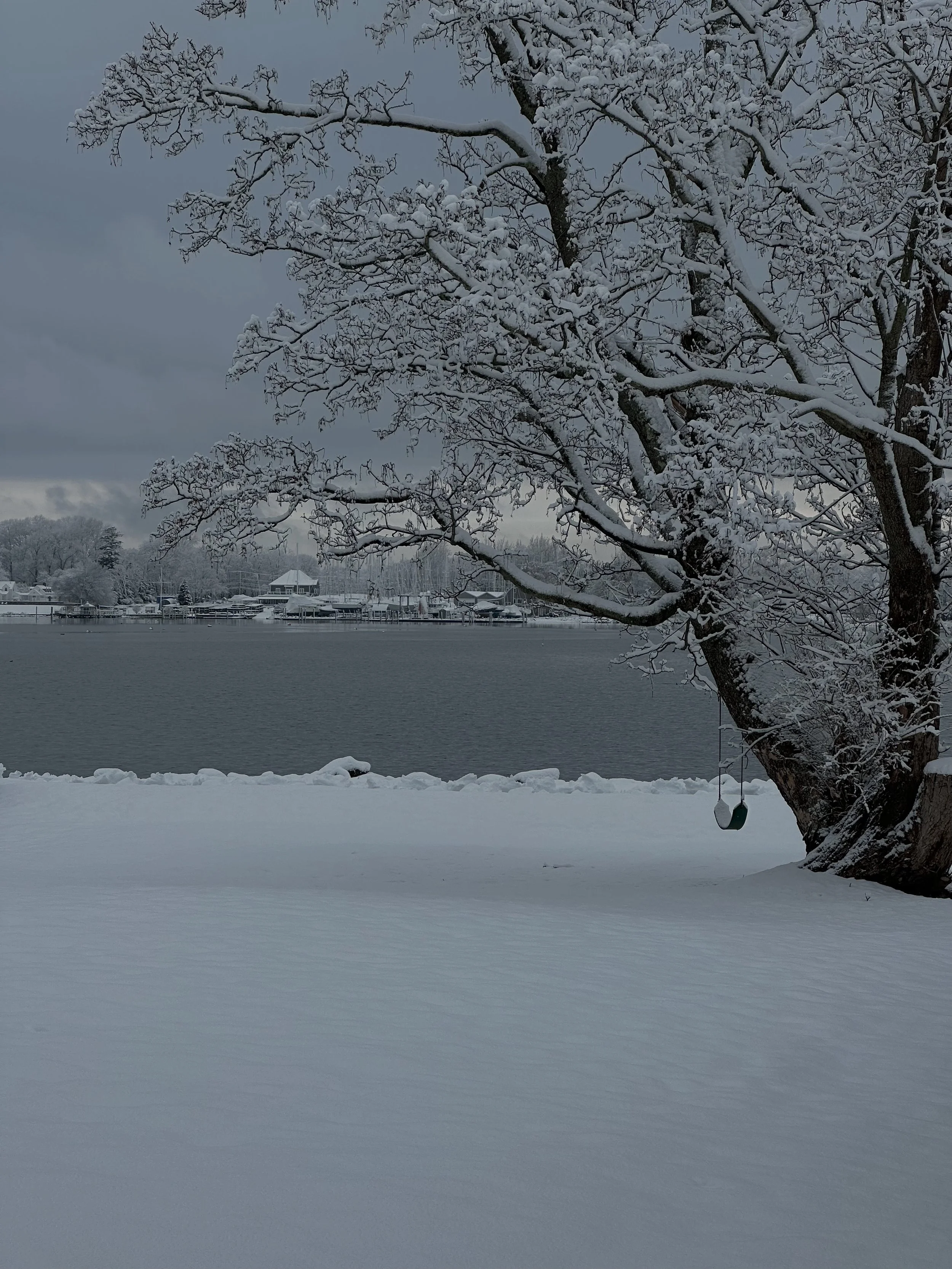 You can Understand Yourself &amp; Still be Human