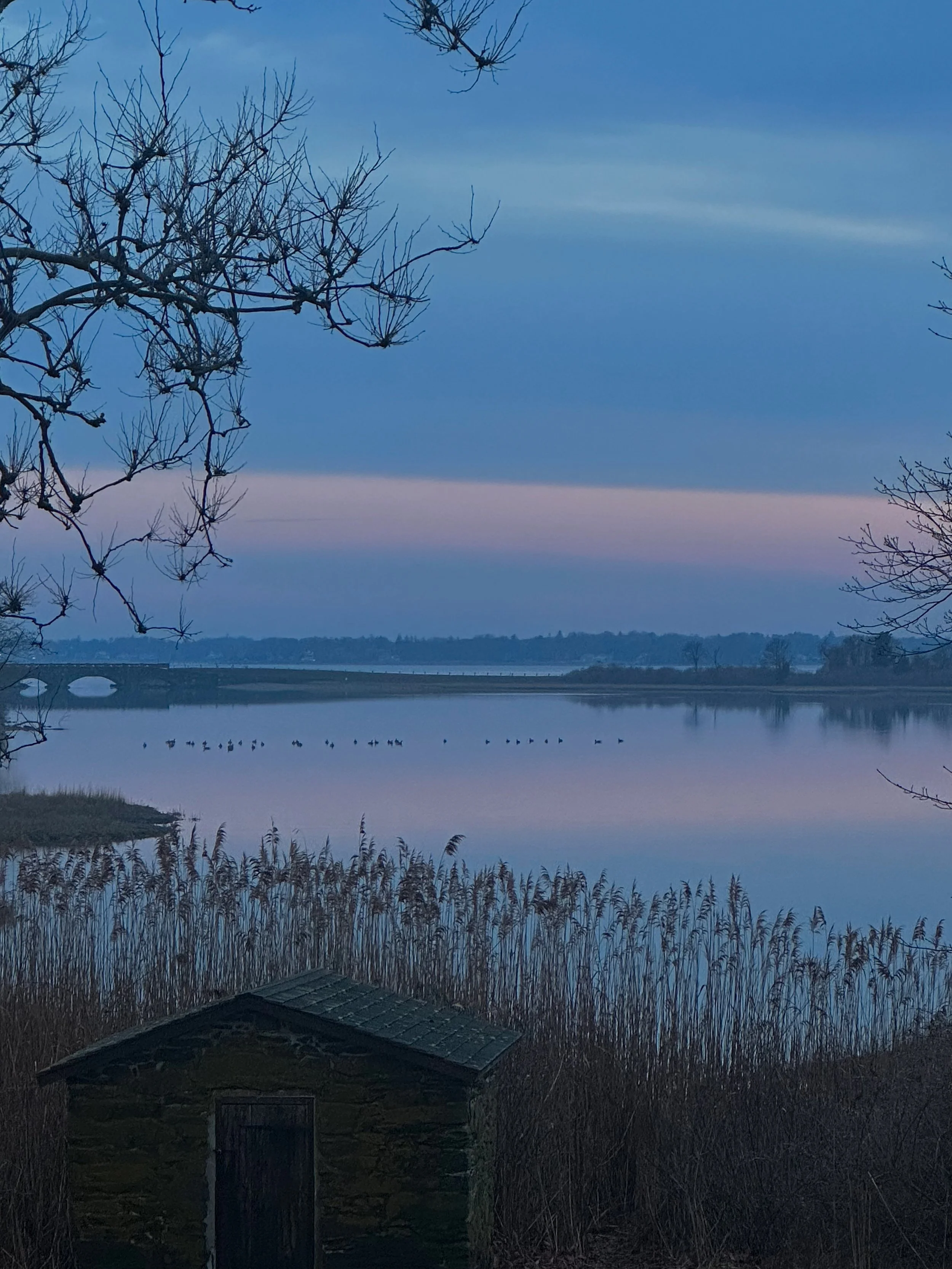 A Beginning &amp; a Continuation