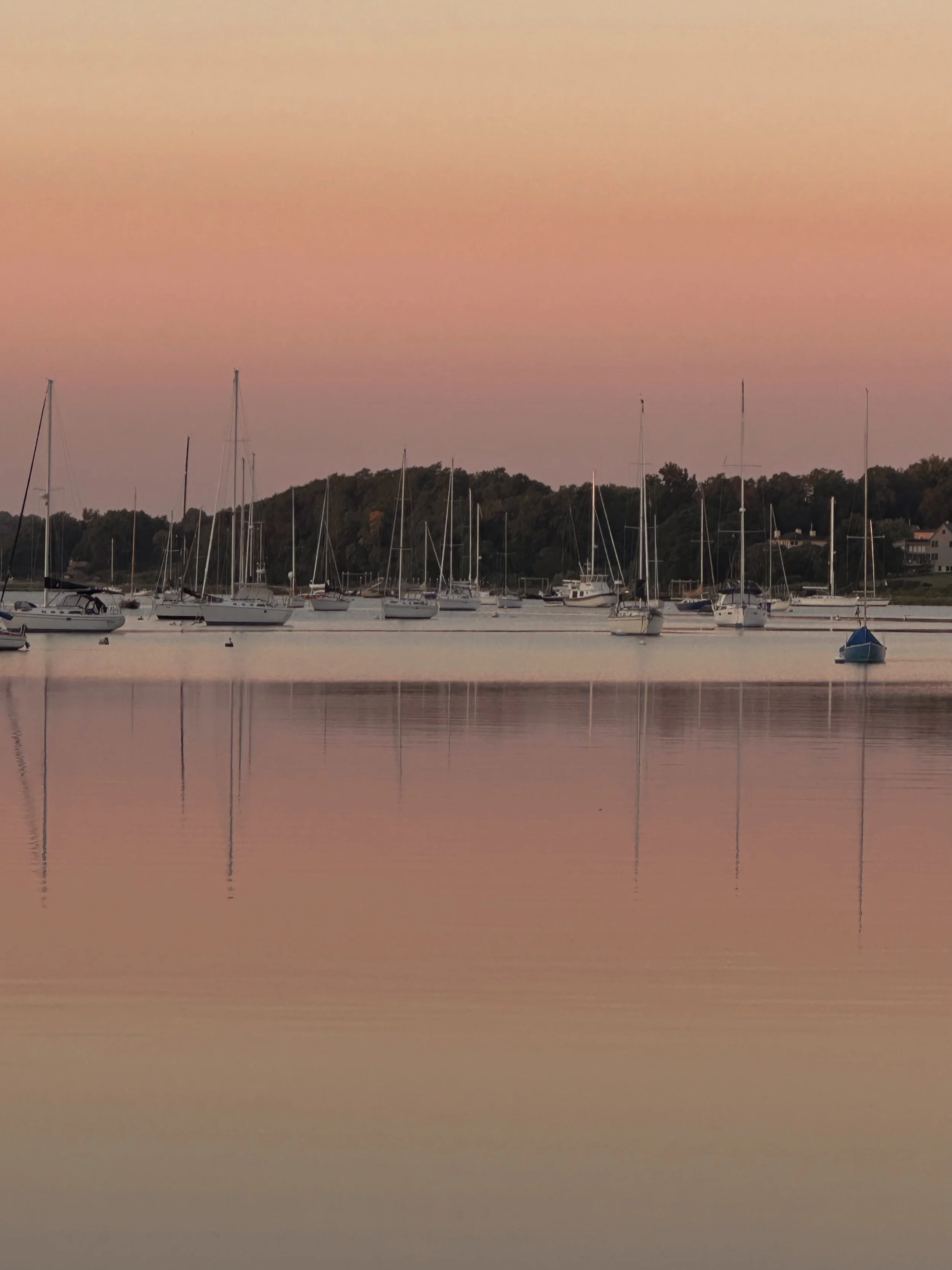 Sailboats anchored on calm water during sunset with pink sky over distant trees and houses.