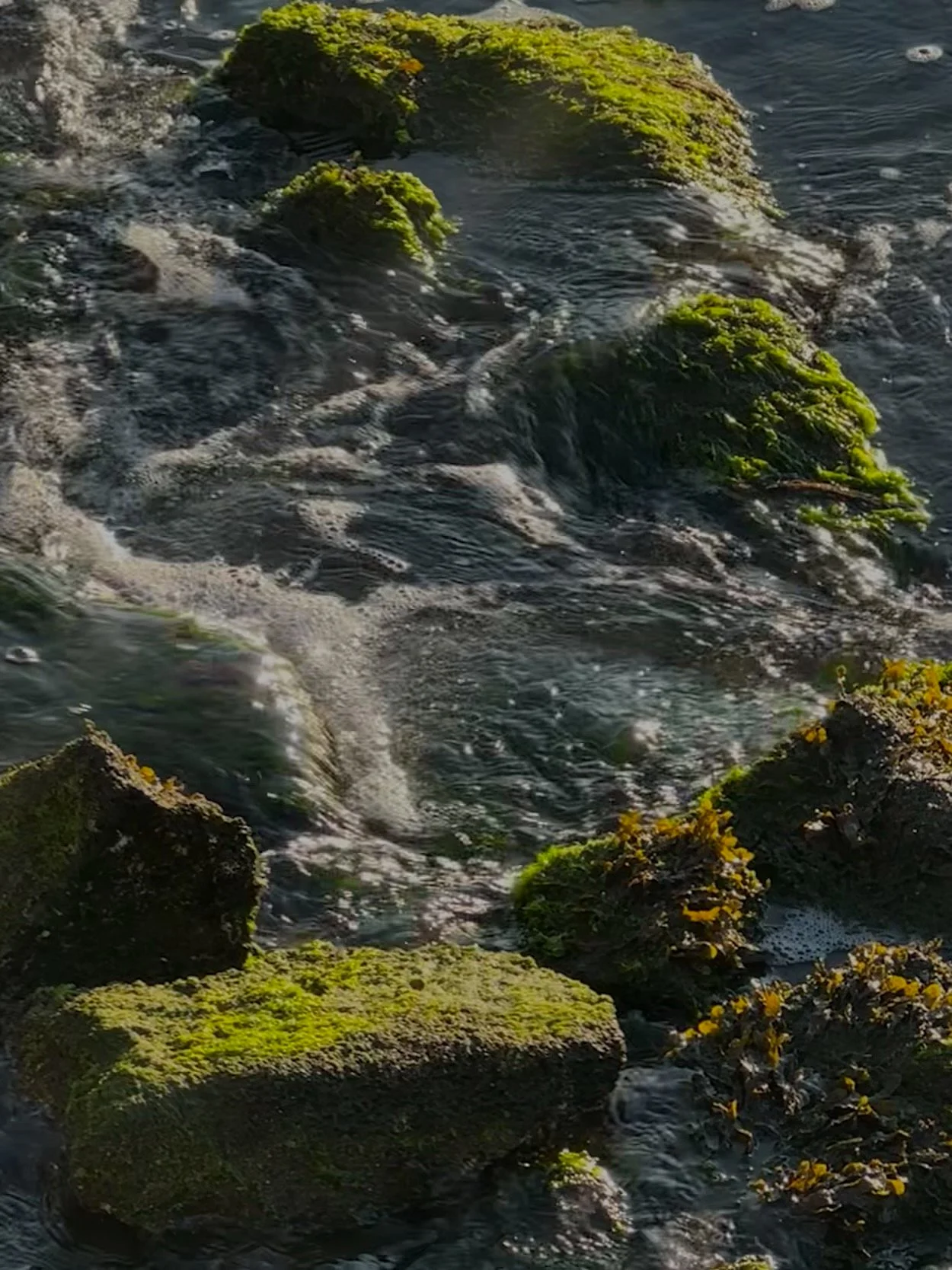 Nueromodulation Evaluations