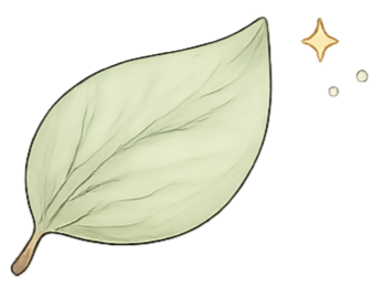 A single light green leaf with detailed veining, and two small gold stars.
