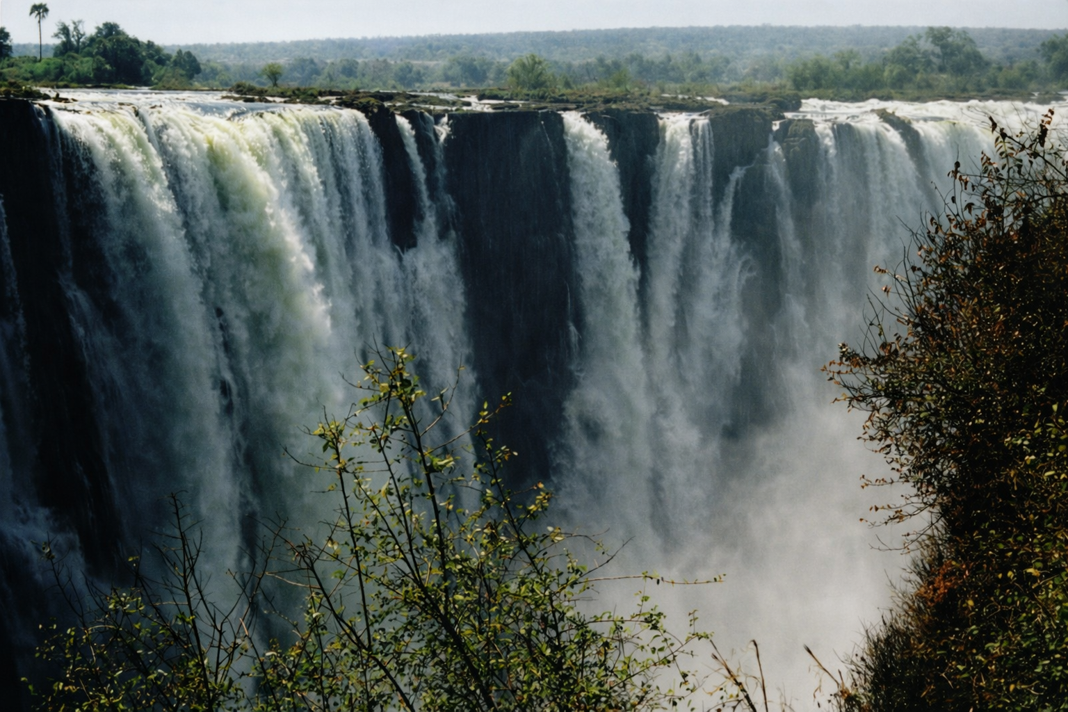 ChatGPT Image Dec 23, 2025, 10_12_36 PM.png