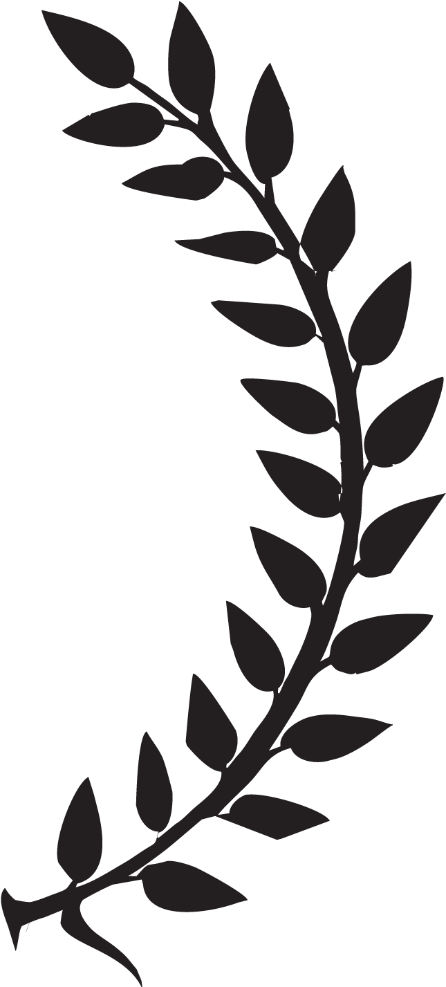 Silhouette of a leafy branch against a black background.