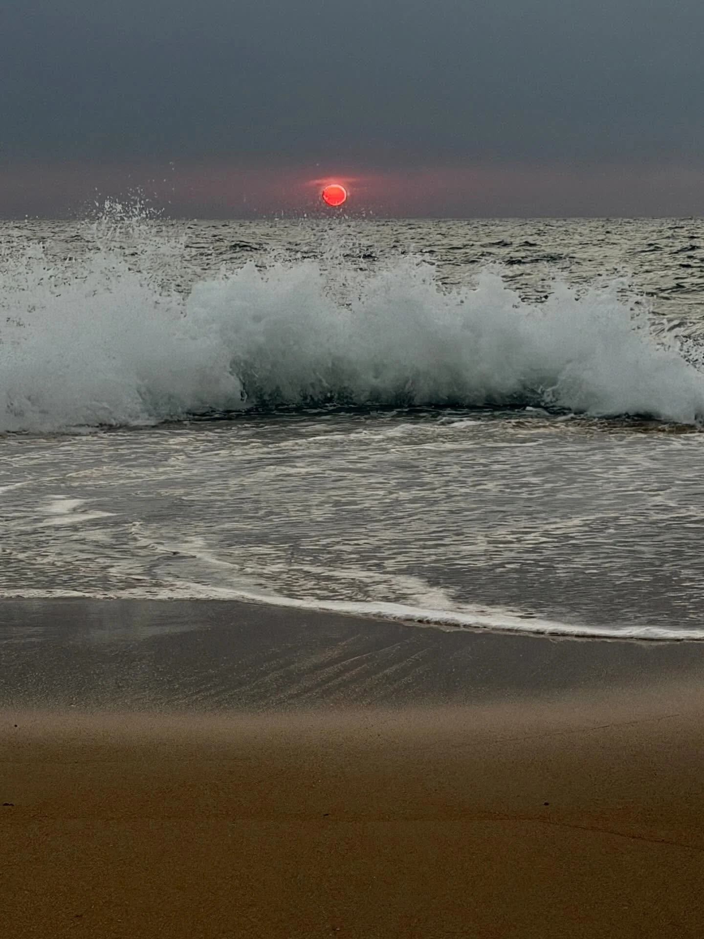 We&rsquo;ve landed in an upside down wonderland. Some adjustment required.  New &ldquo;Passage&rdquo; update posted. Visit link in bio if you&rsquo;re interested.