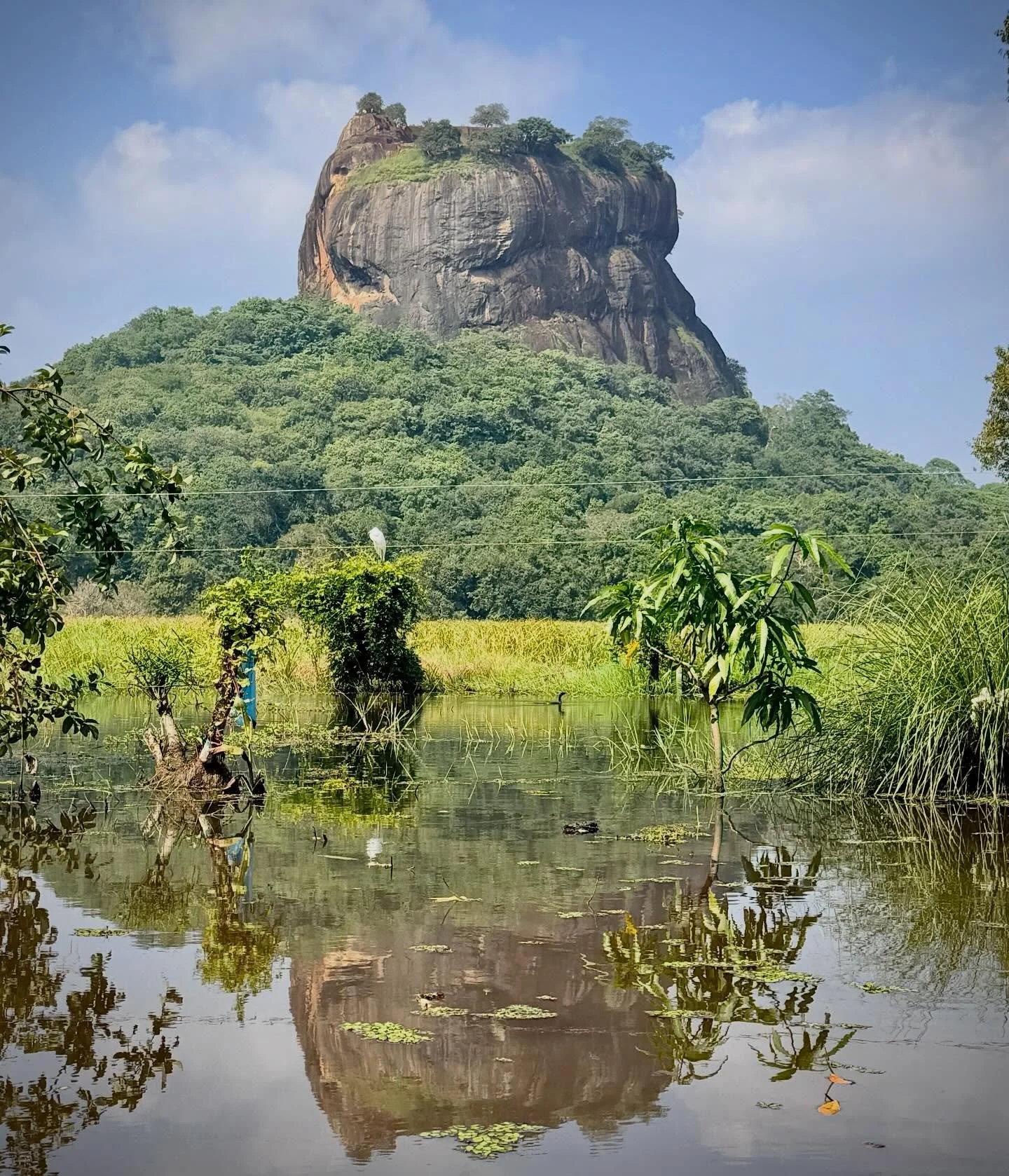 Sensational Sigiriya! Update Passage on this incredible UNESCO World Heritage Site coming soon.  Quite the picturesque place.