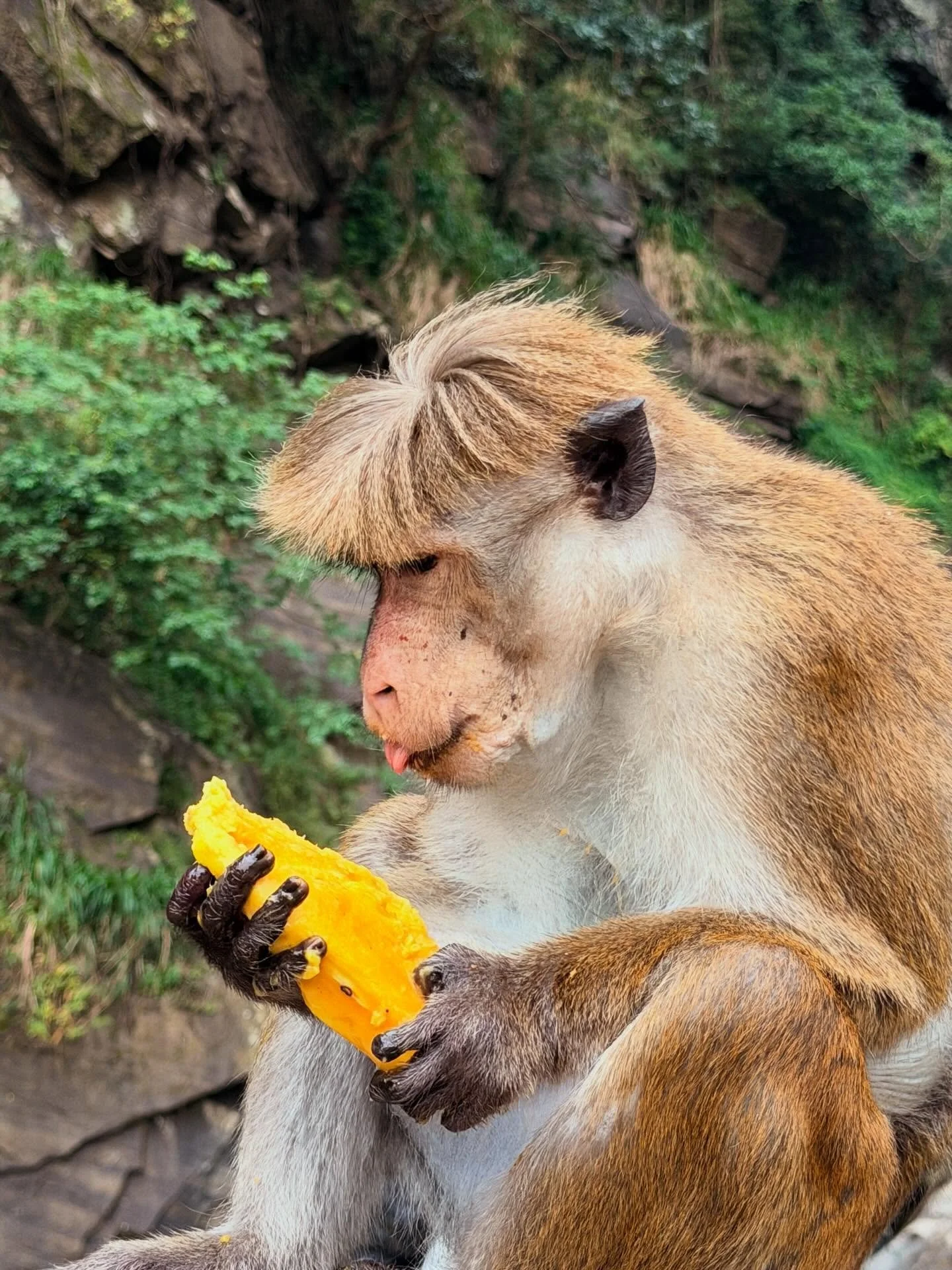Nothing says love like a fresh mango