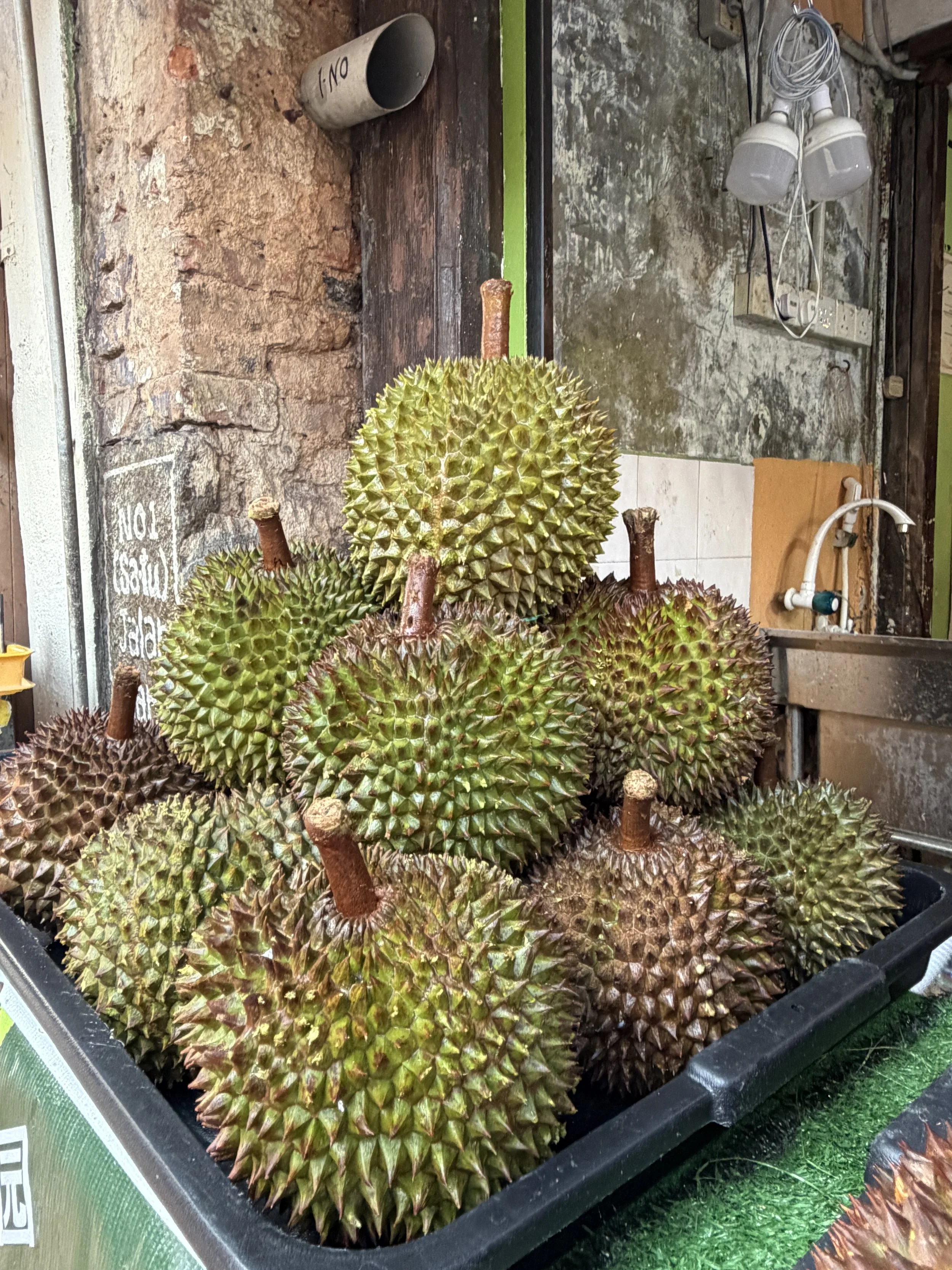 Durian: The World's Stinkiest Fruit!