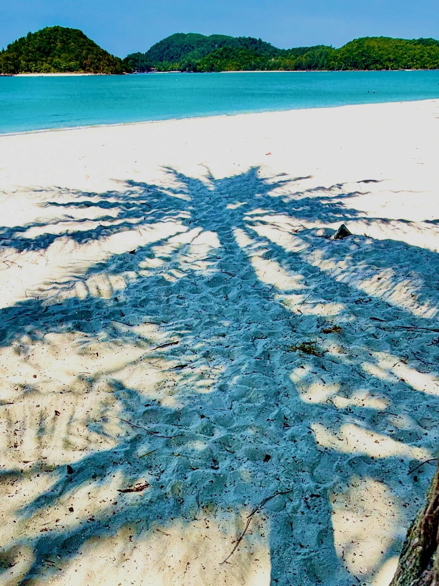 Last beach day.  Enjoying the shade.