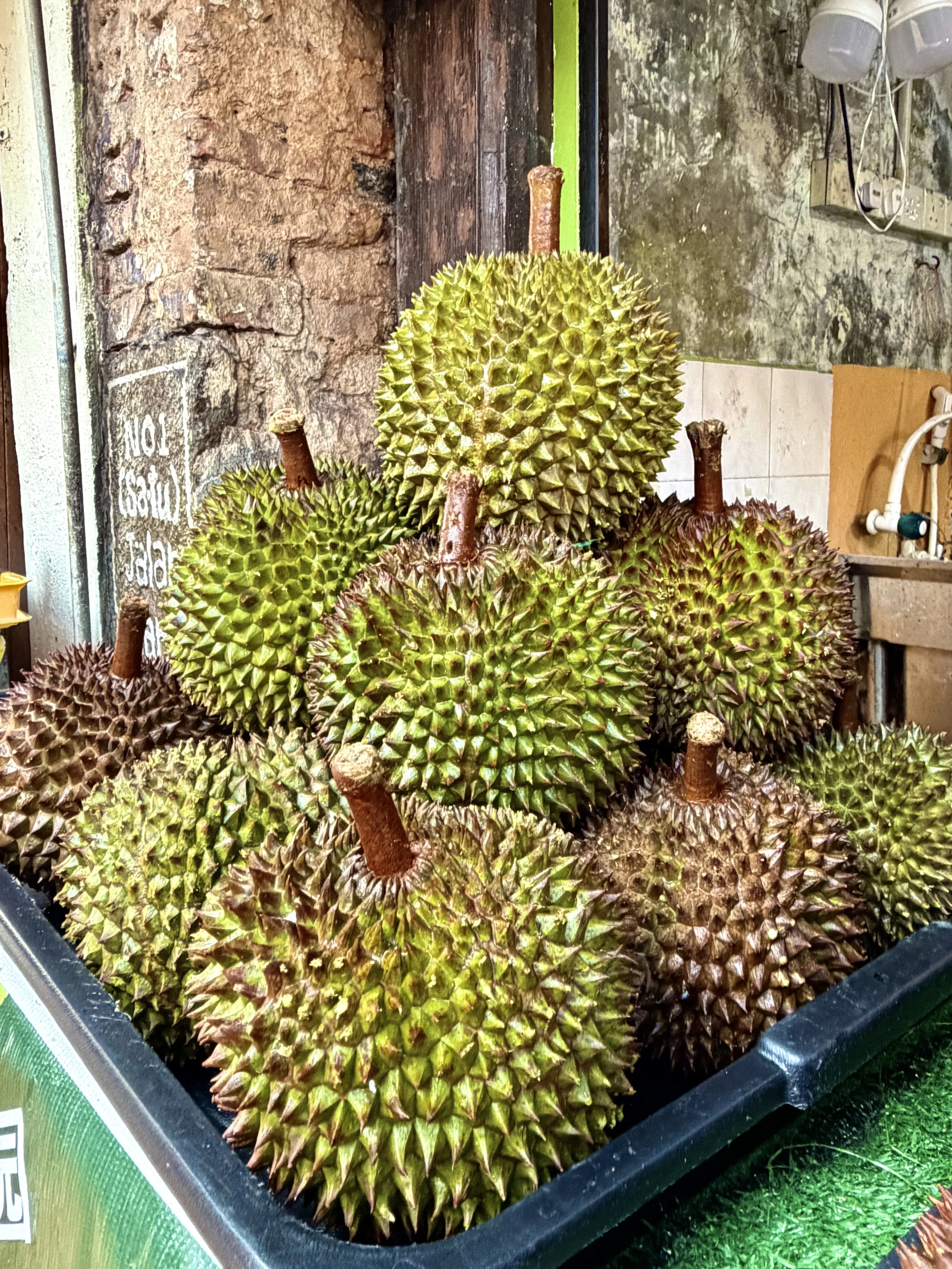 Musang King durian