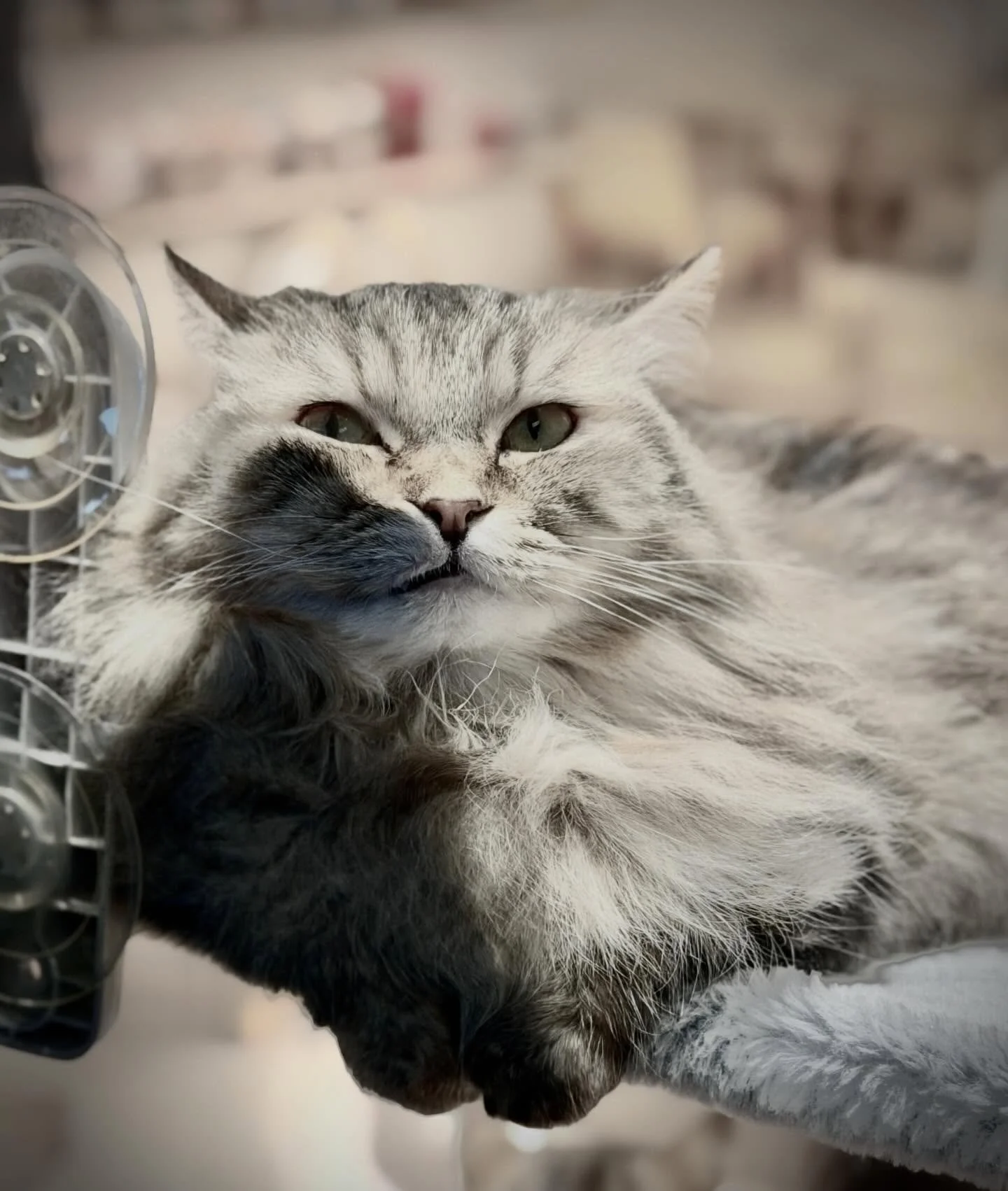 You ever just&hellip;.press your face against life and see what happens?