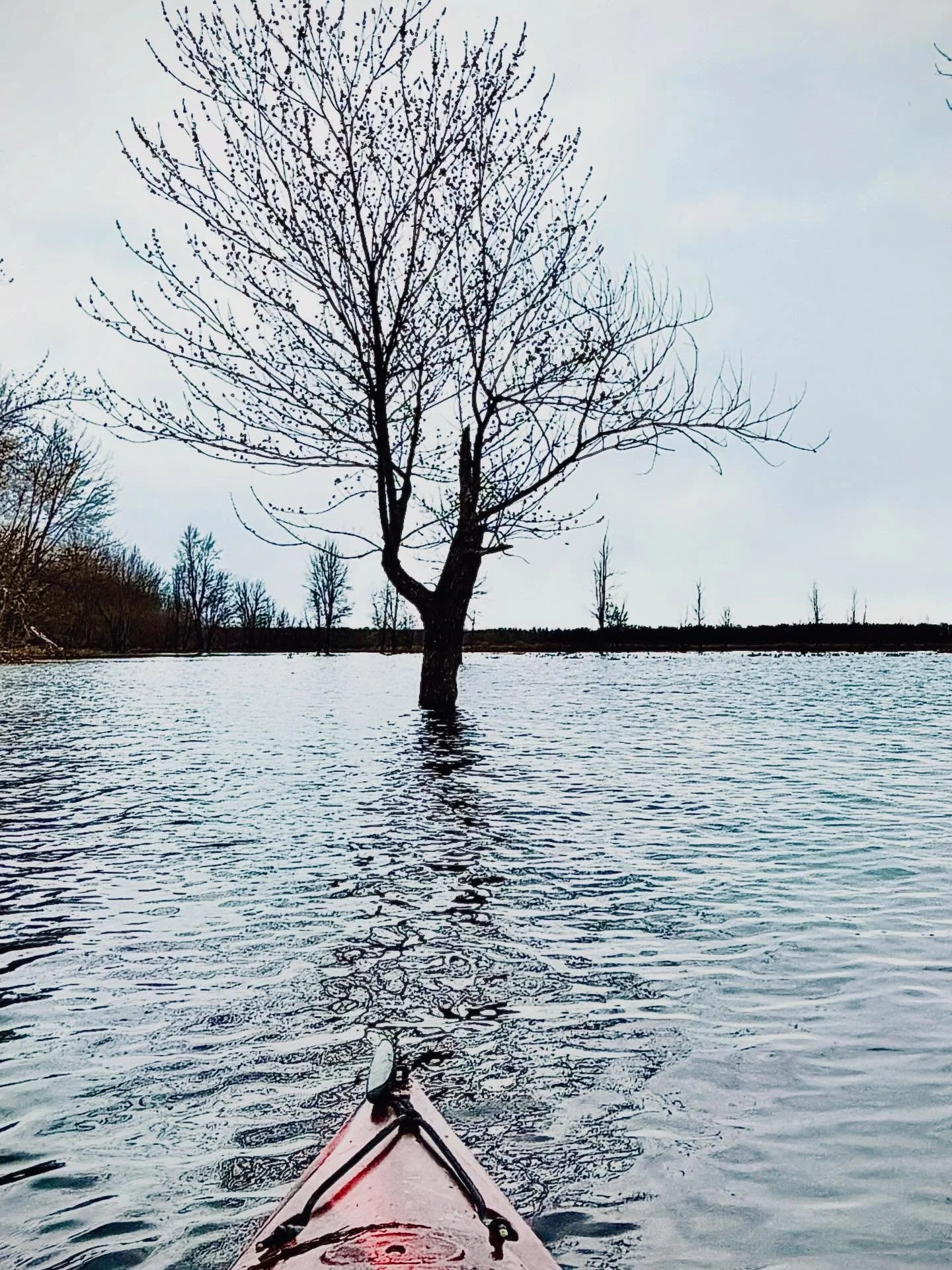 Wet. Lands.