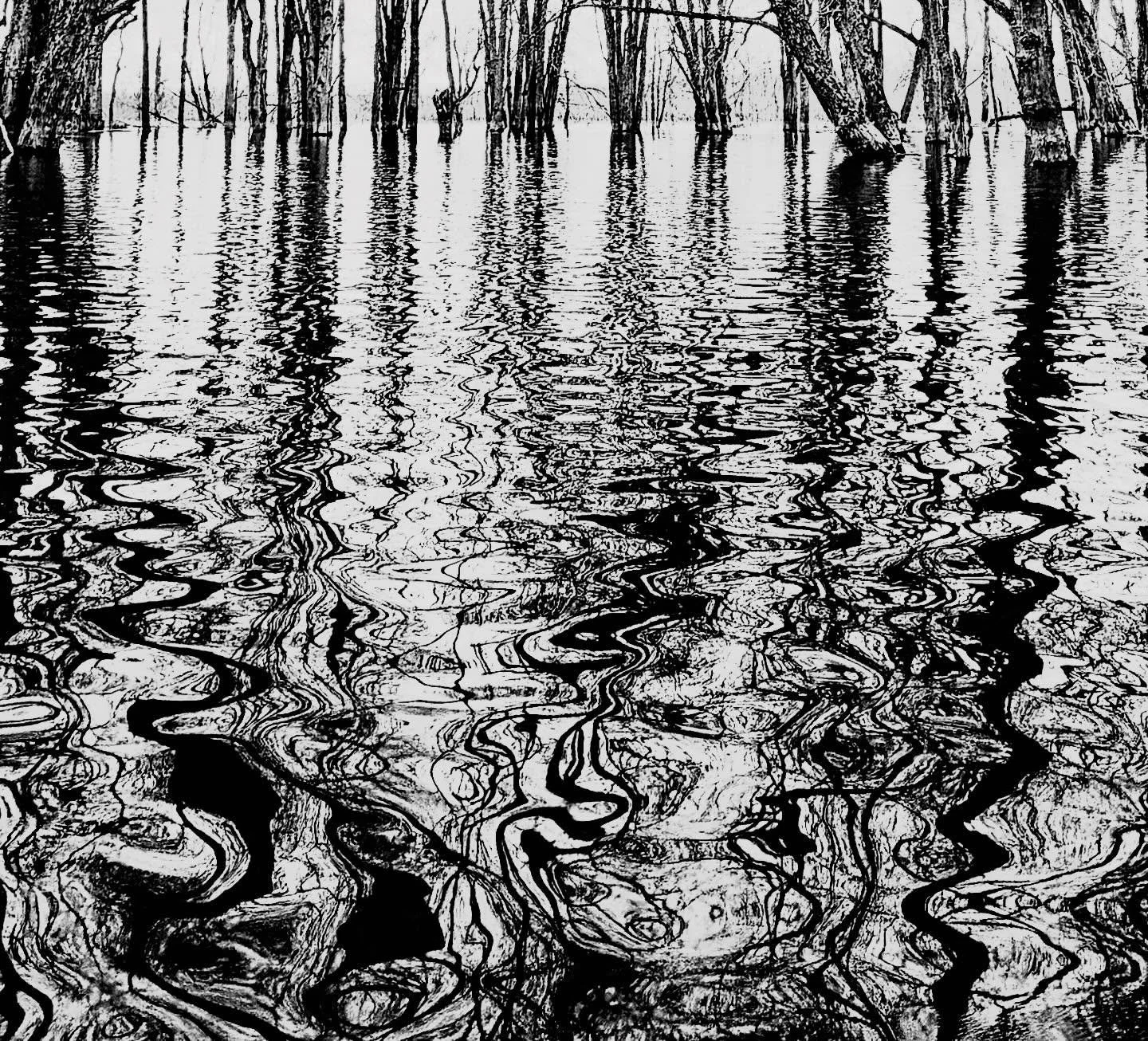 More. Wet. Lands.