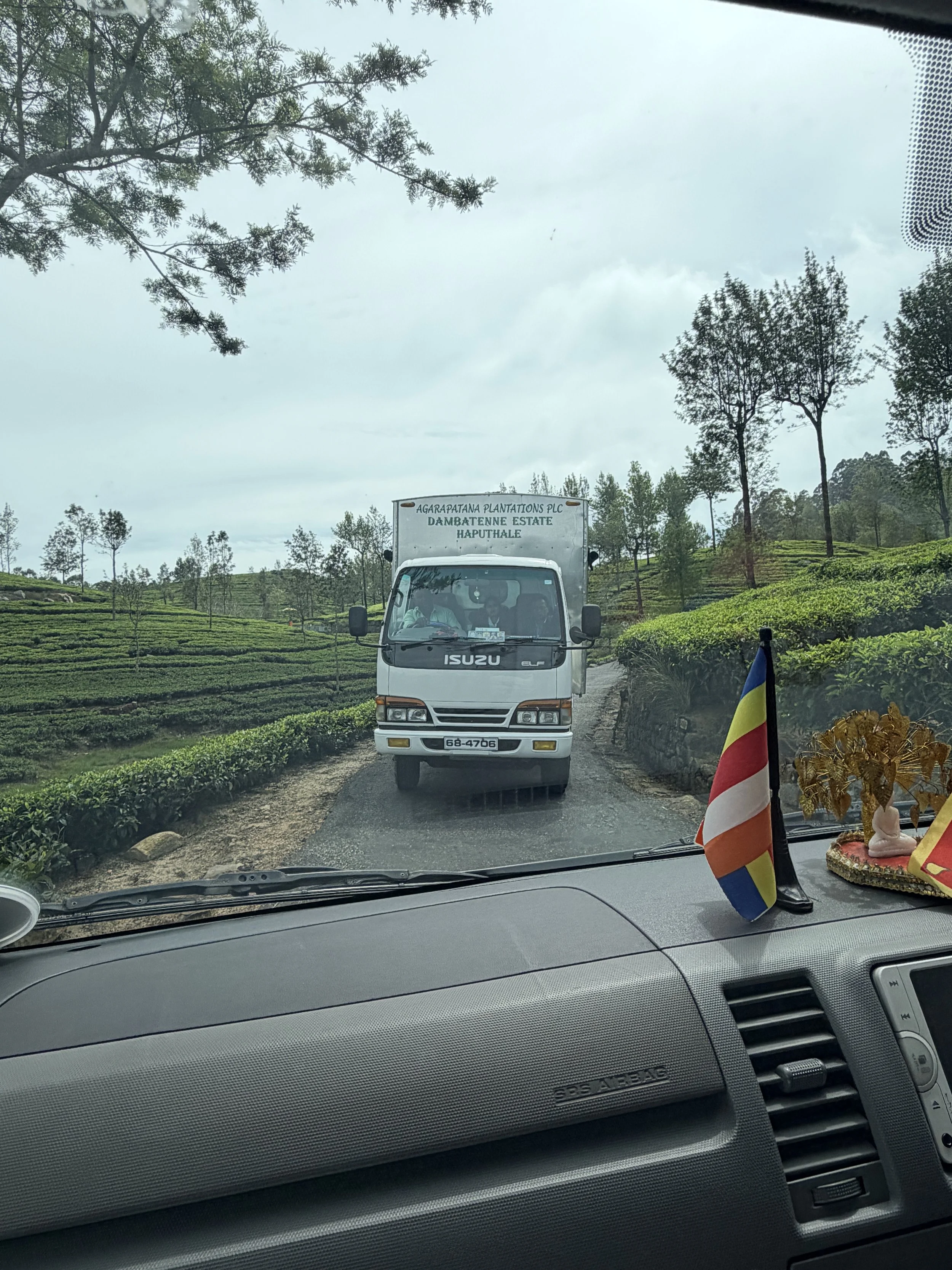 Okay, fine, the precarious road to Lipton's Seat.  Terrifying but thrilling.