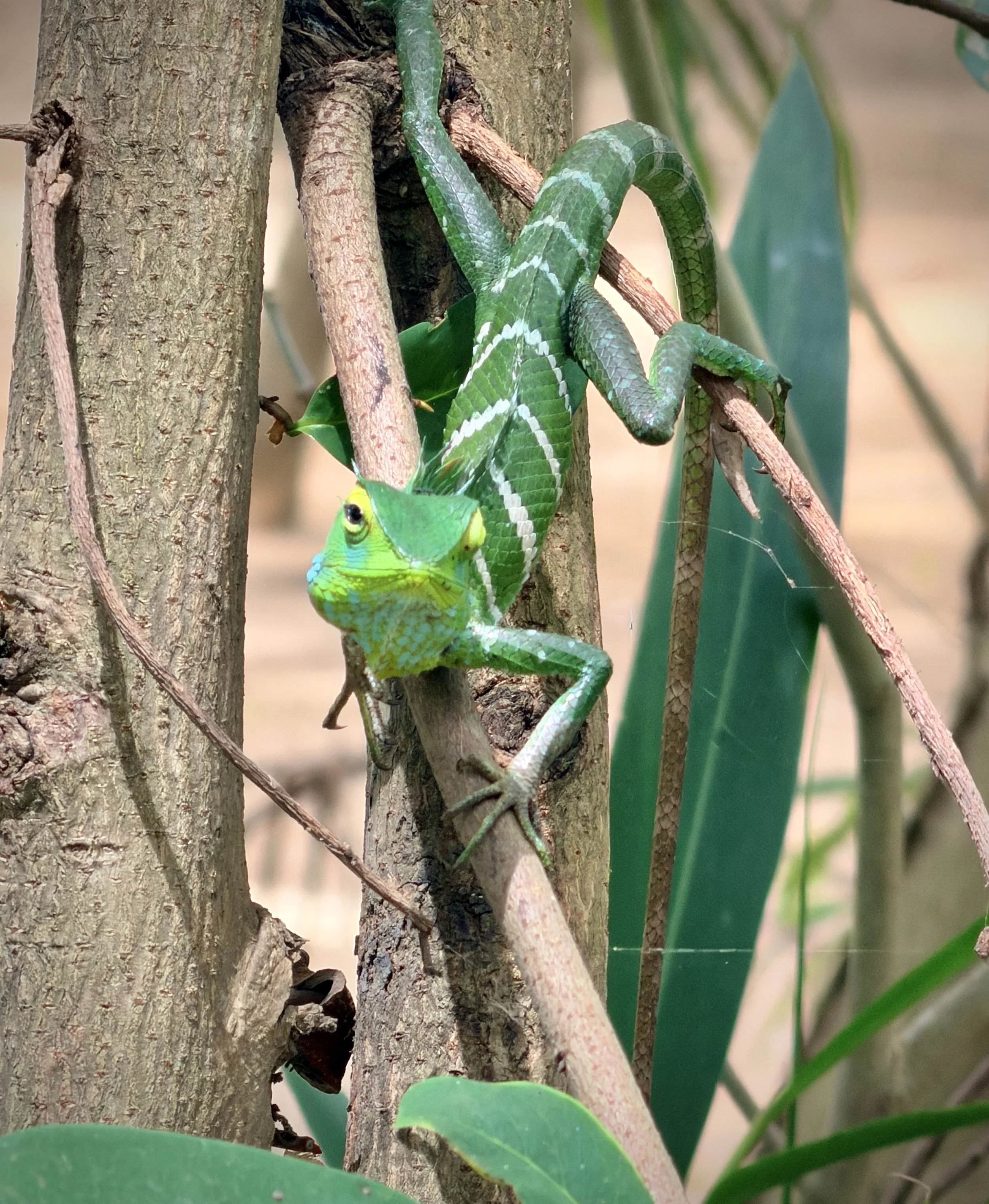 All the weird and wonderful creatures, birds , flora, and fauna we saw.