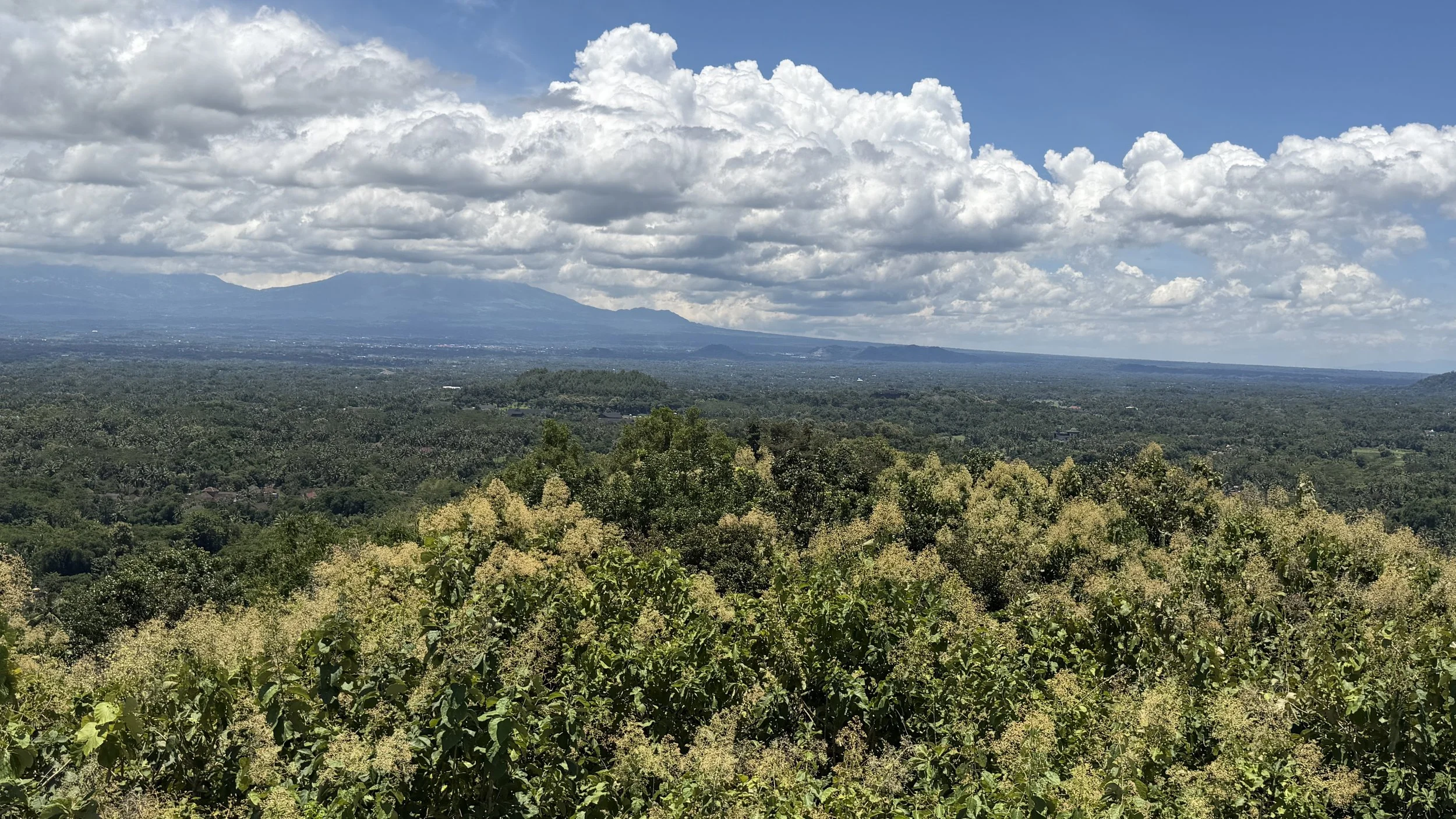Look closely - you can see Borobudur