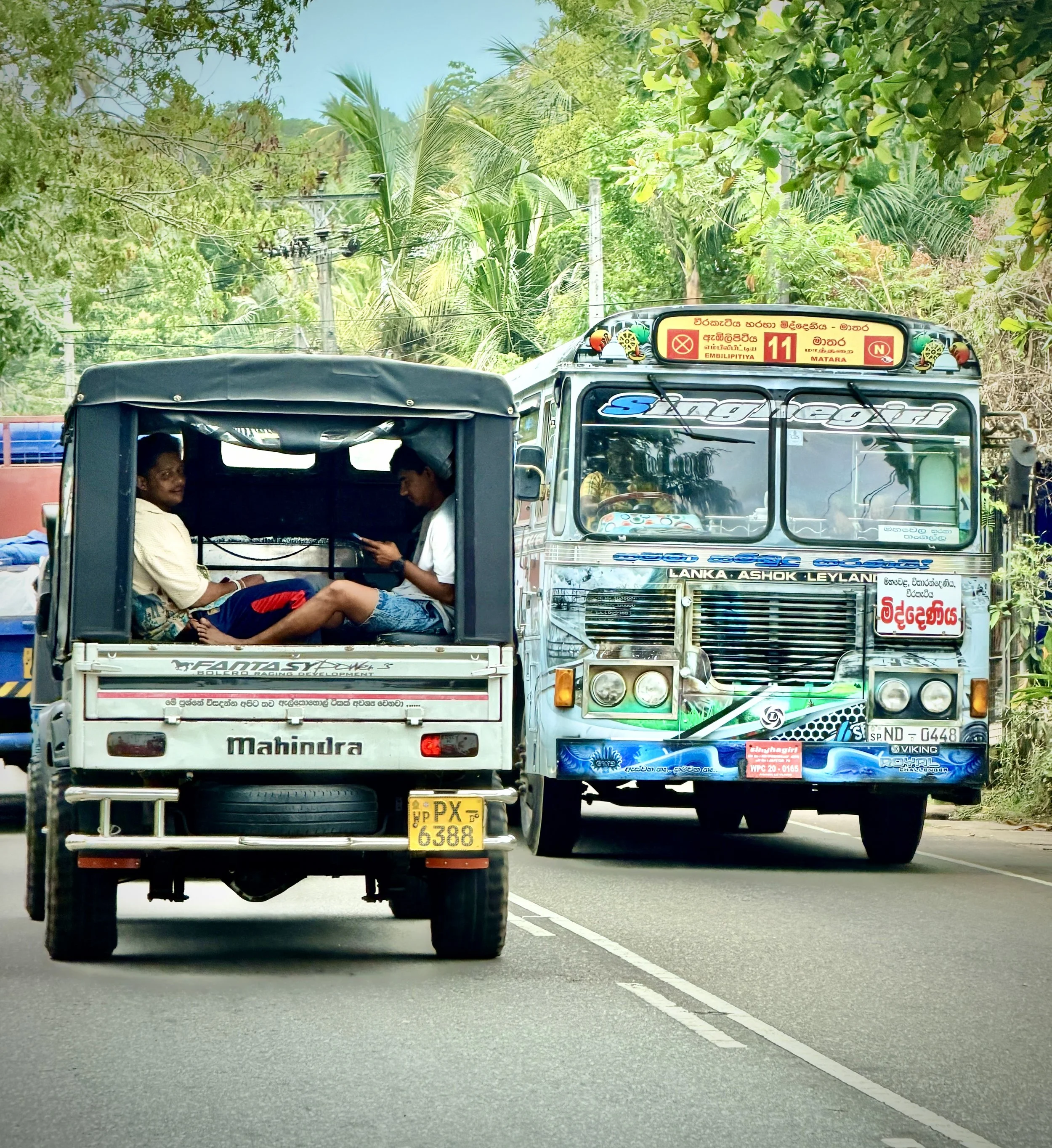 The things - and people - we saw on the road.