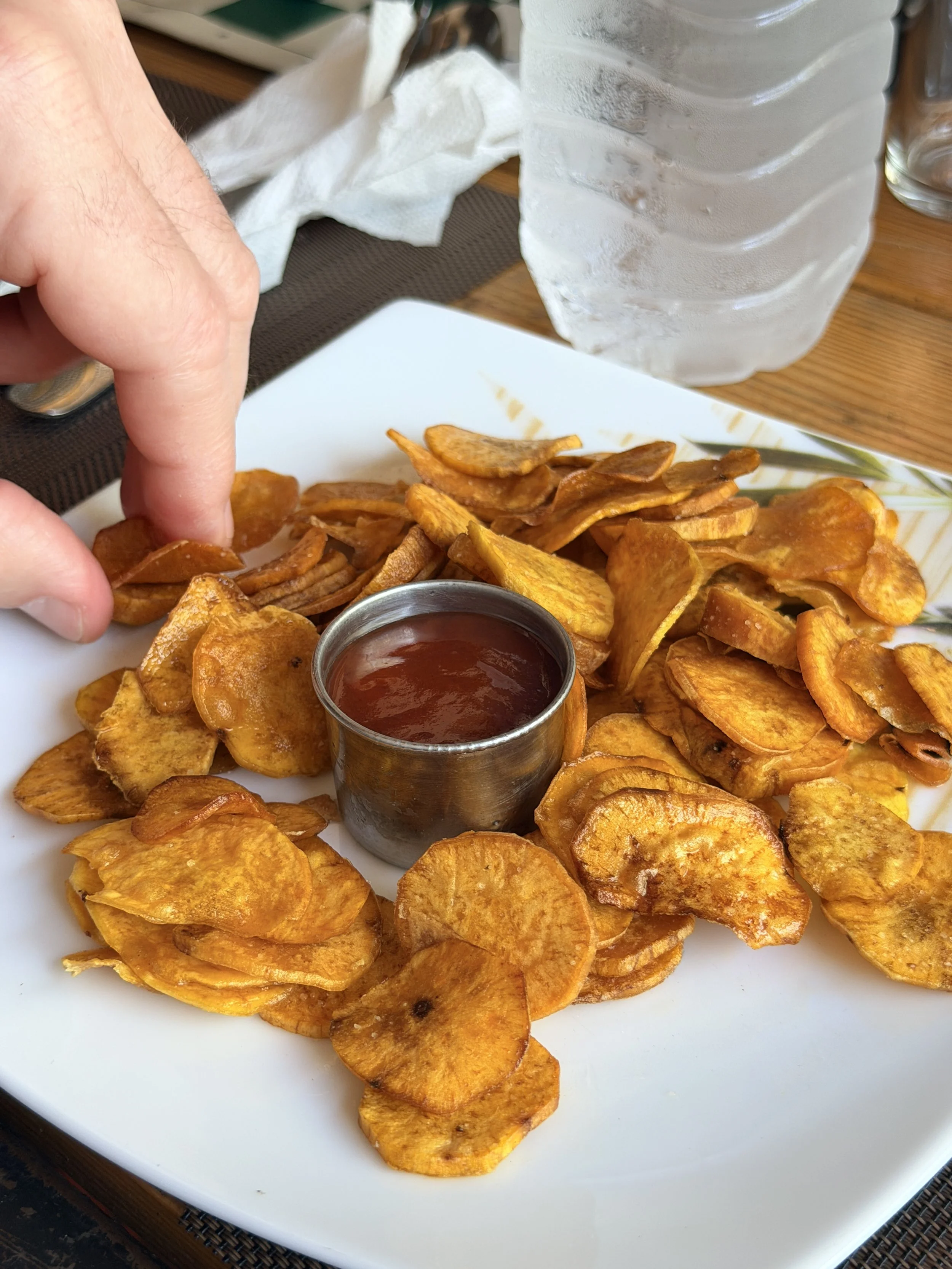 Sweet potatoe chip/fries!  Made from the cutest, smallest and sweetest sweet potatoes.