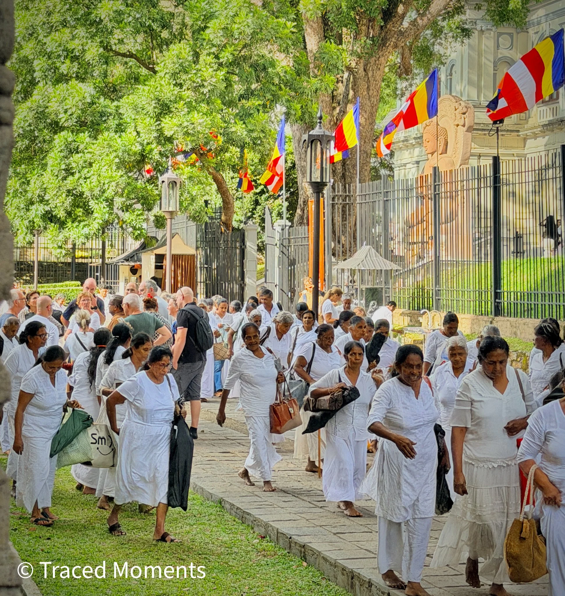 In Kandy, Buddhists visit the Temple of the Sacred Tooth Relic during the annual Esala Perahera, when the "tooth relic of the Buddha" is honoured in a grand procession of dancers, drummers and elephants.  This happens in the evening and, afraid of th