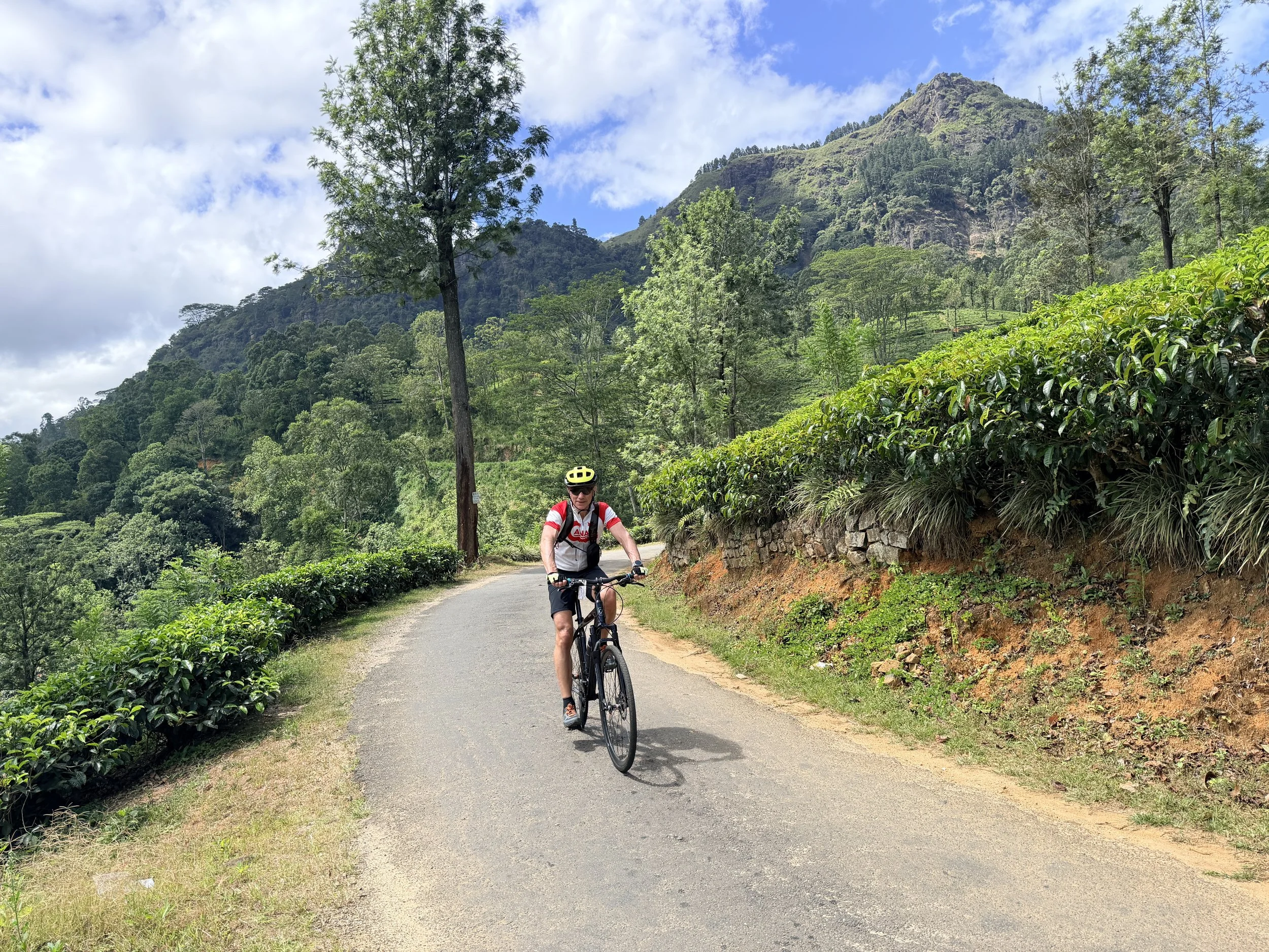 Gary climbing the hill on the small road through the middle of a tea plantation