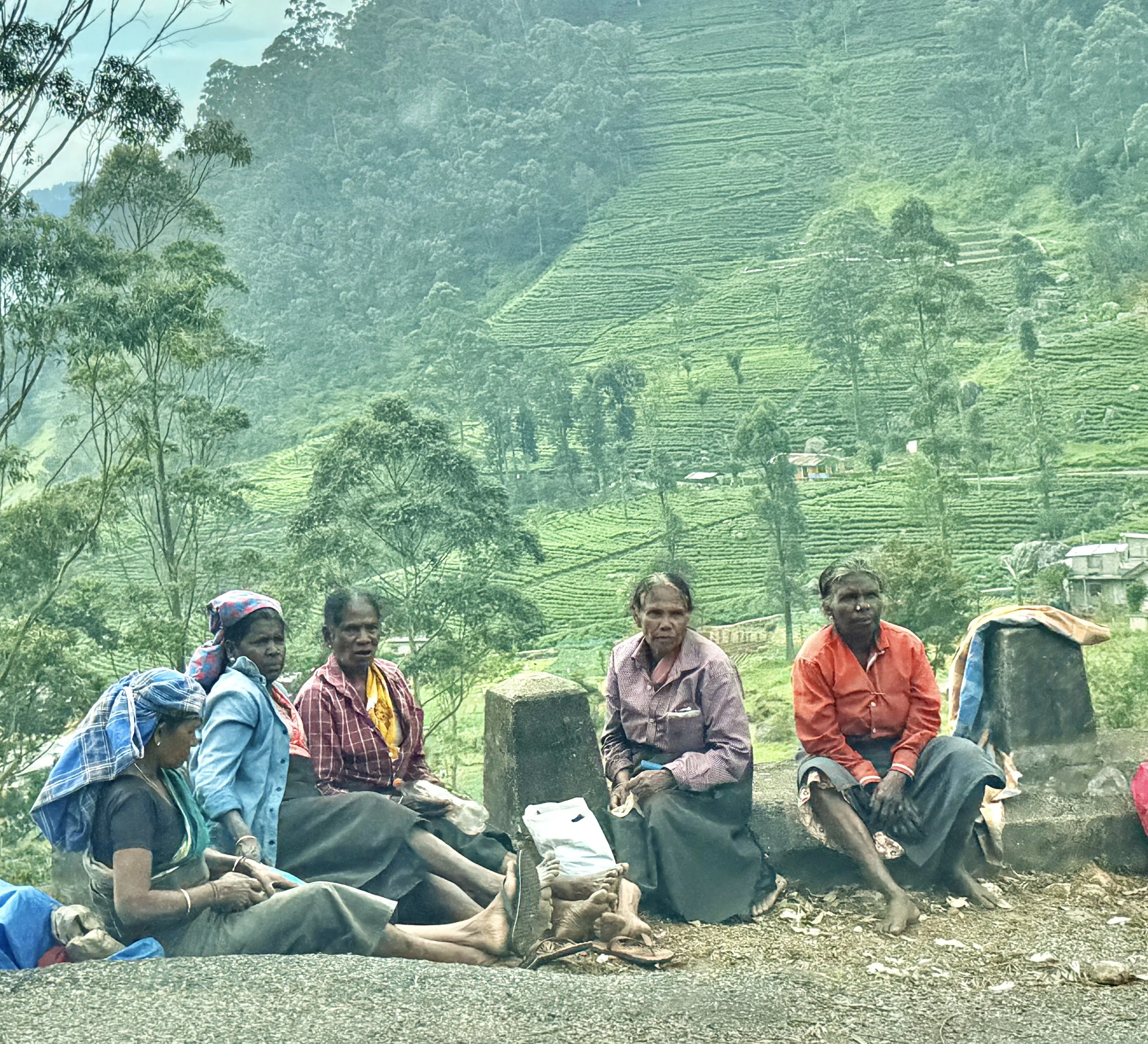 Women waiting to be picked up and taken to their next picking area by the company bus.