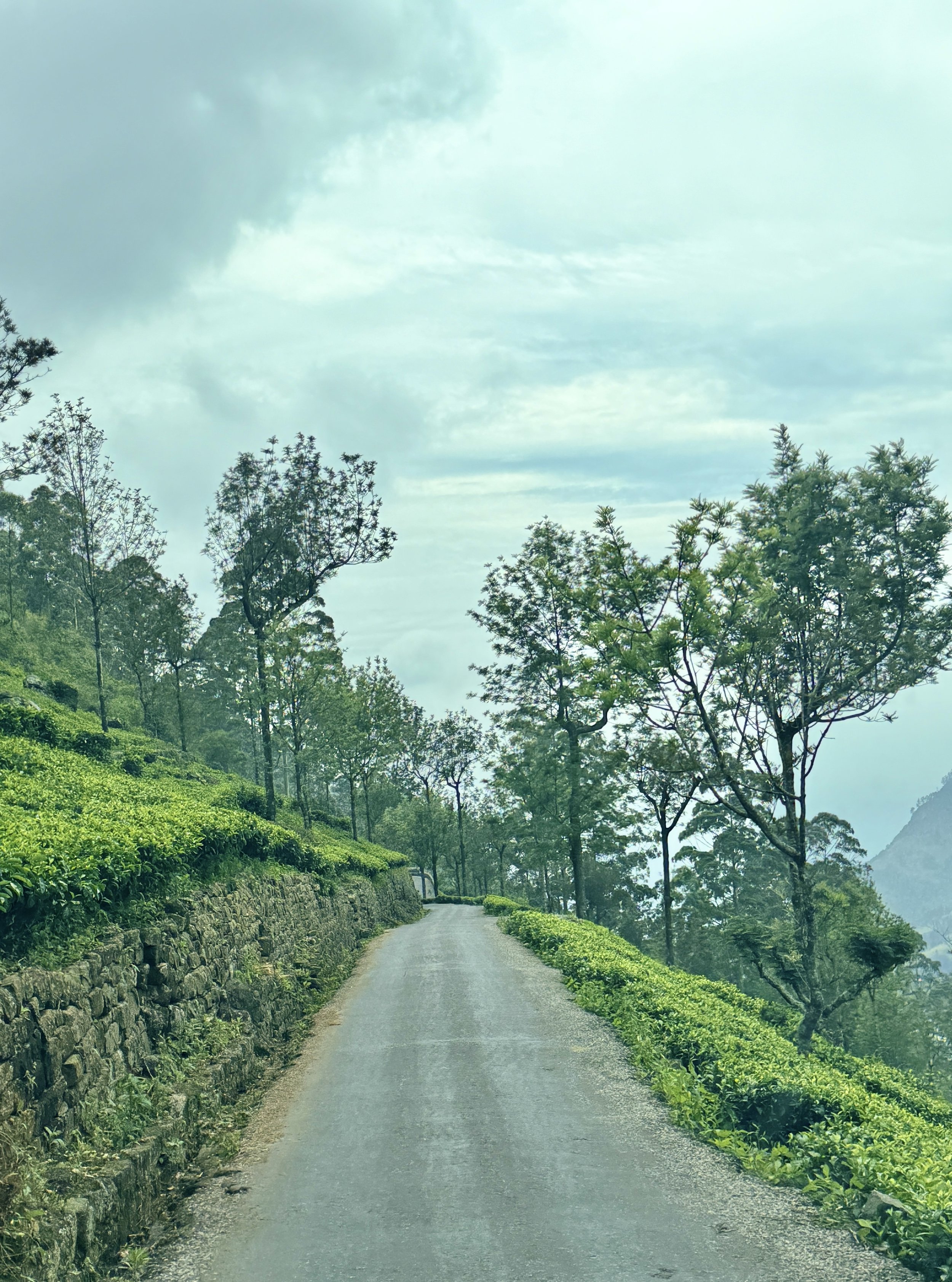 The scenery on that terrifying road.