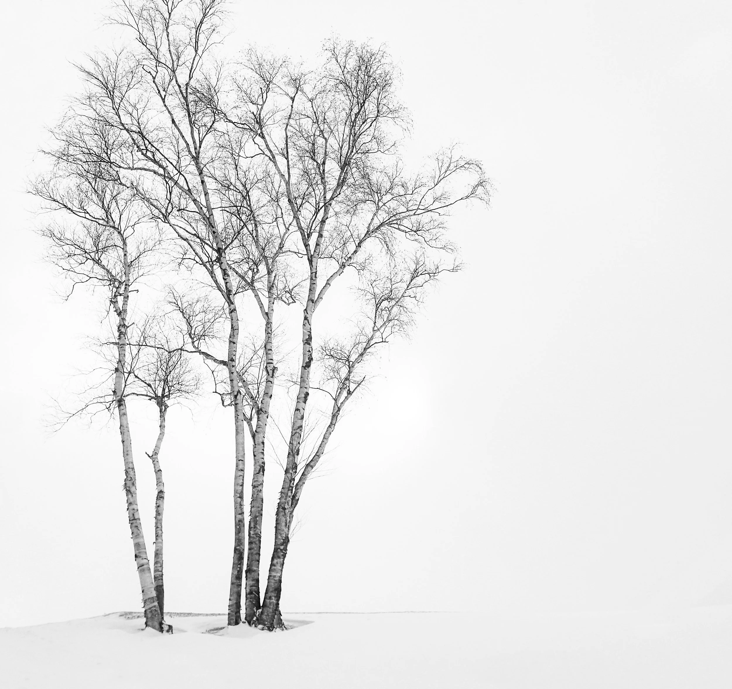 2015-01-30 15.15.10.jpg