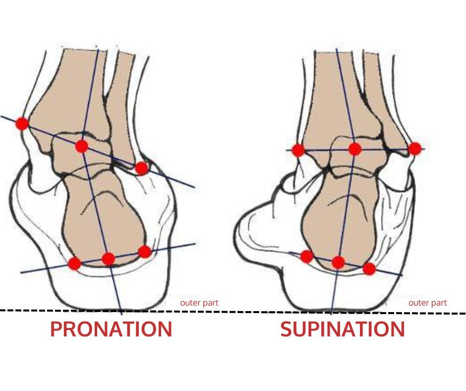 Lower limb anatomy showing foot, ankle, and knee alignment for biomechanical assessment