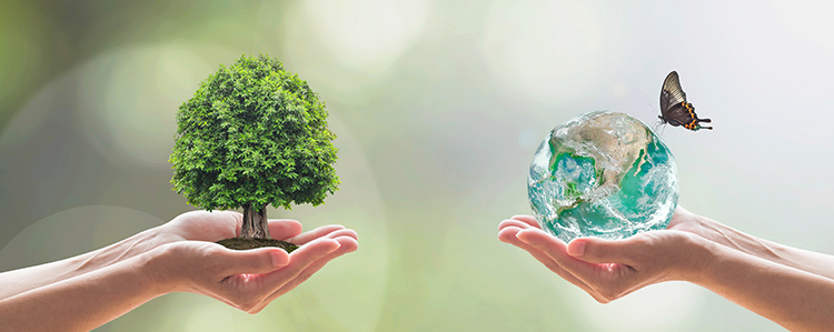 Deux mains tenant des objets symboliques : un arbre en pot et la planète Terre avec un papillon volant à proximité.