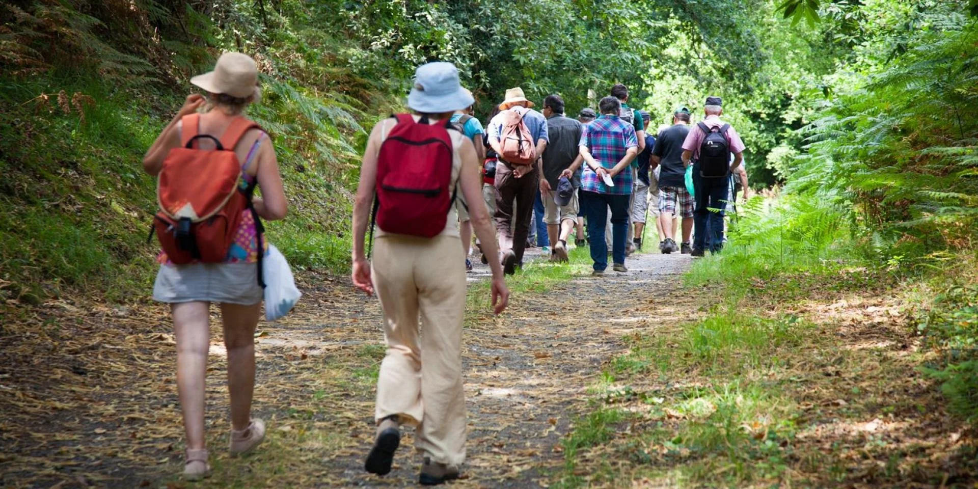 Groupe de personnes marchant dans une forêt, équipées de sacs à dos et chapeaux, en randonnée.