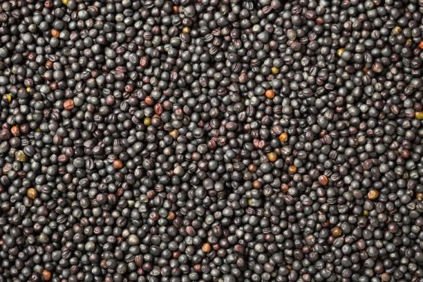 Close-up of numerous small black peppercorns, with some reddish-brown ones scattered among them.