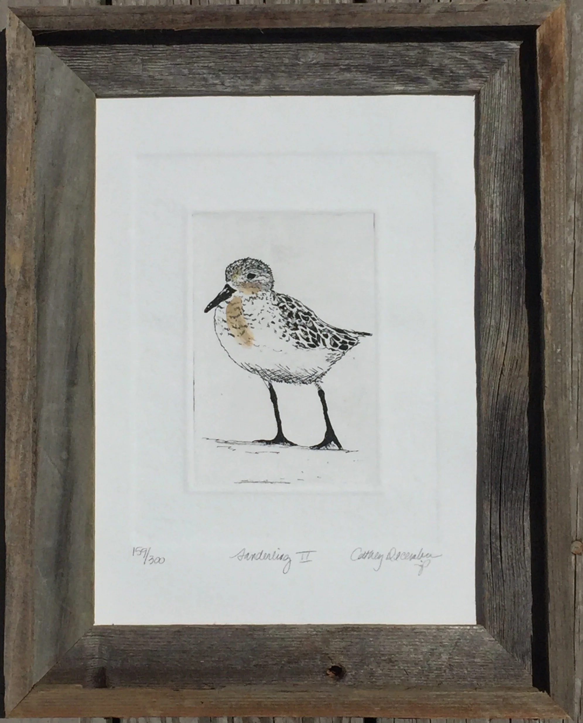 Sanderling II Framed