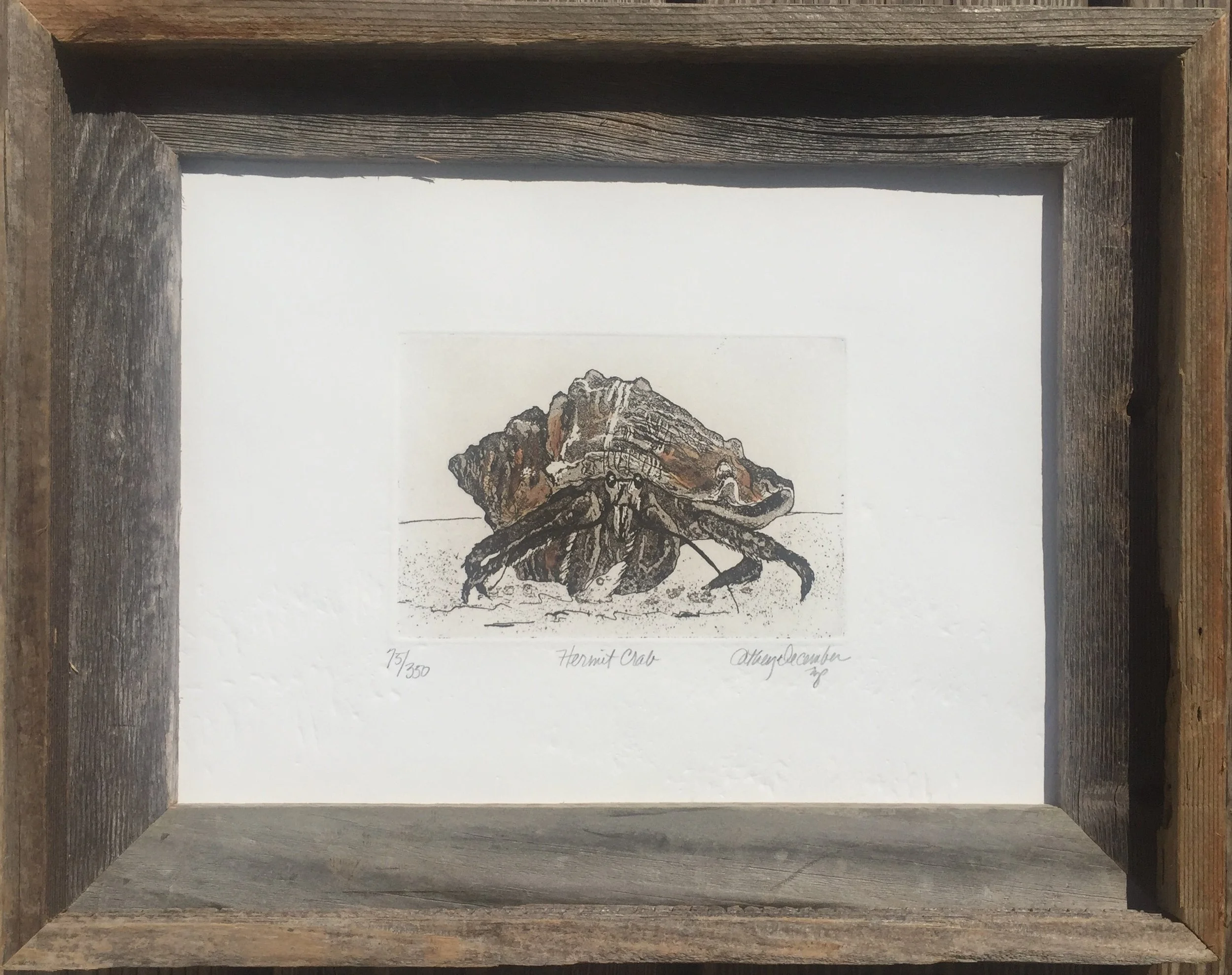 HERMIT CRAB FRAMED.jpg