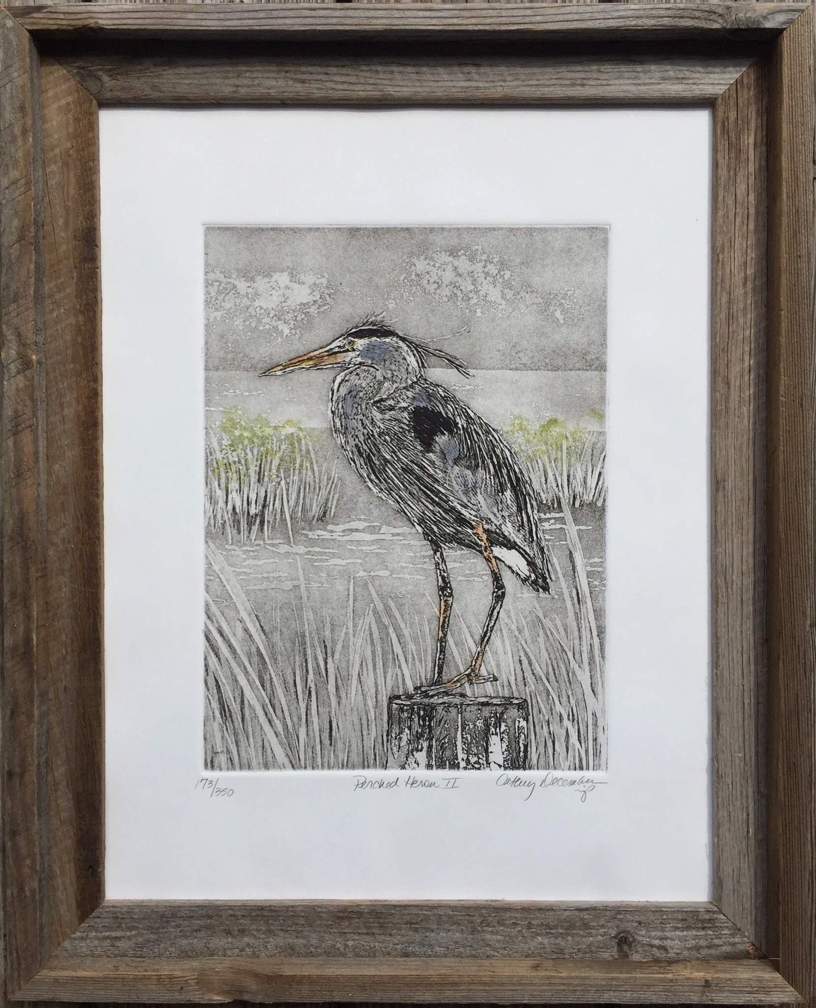 PERCHED HERON II FRAMED.jpeg