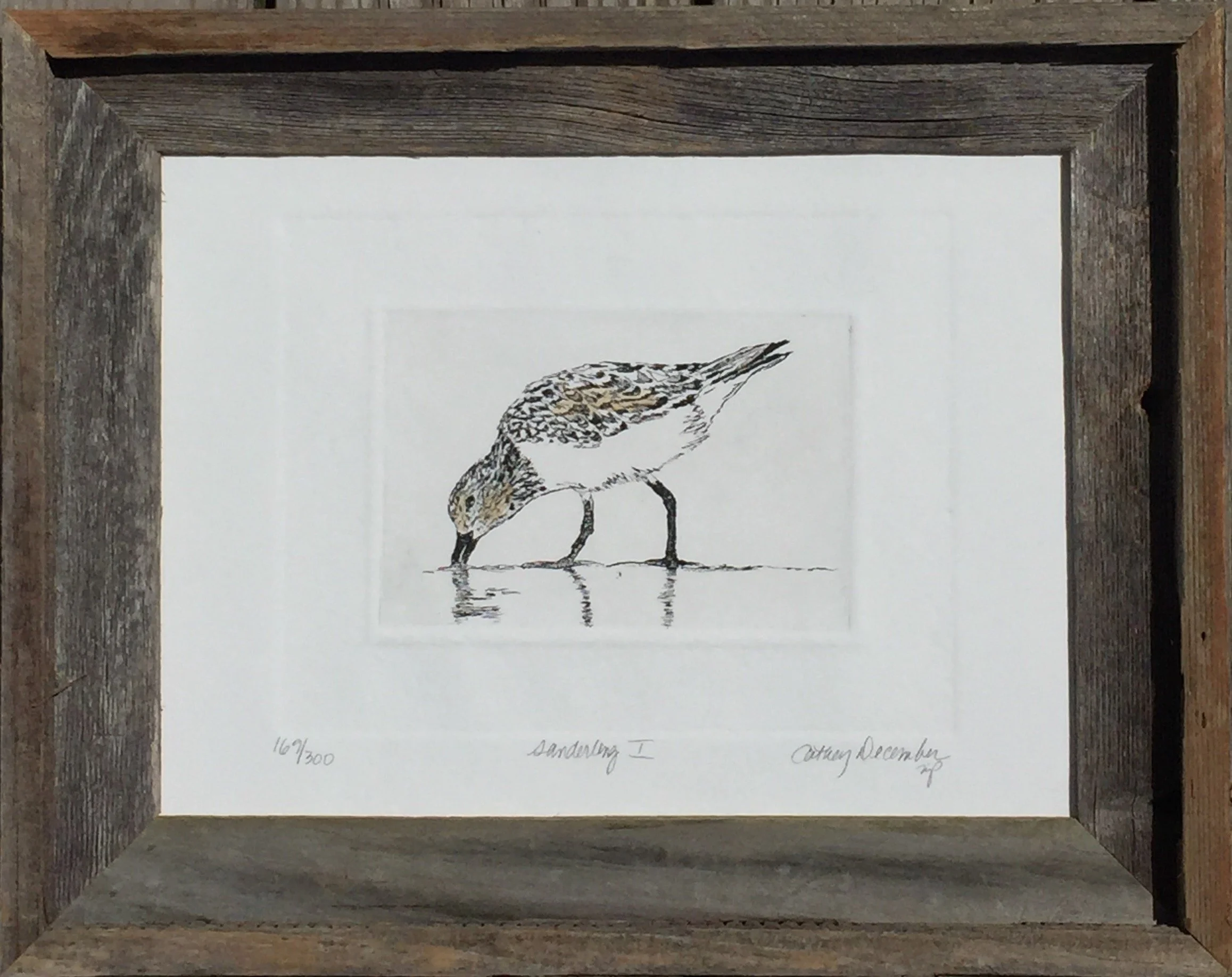 SANDERLING I FRAMED.jpg
