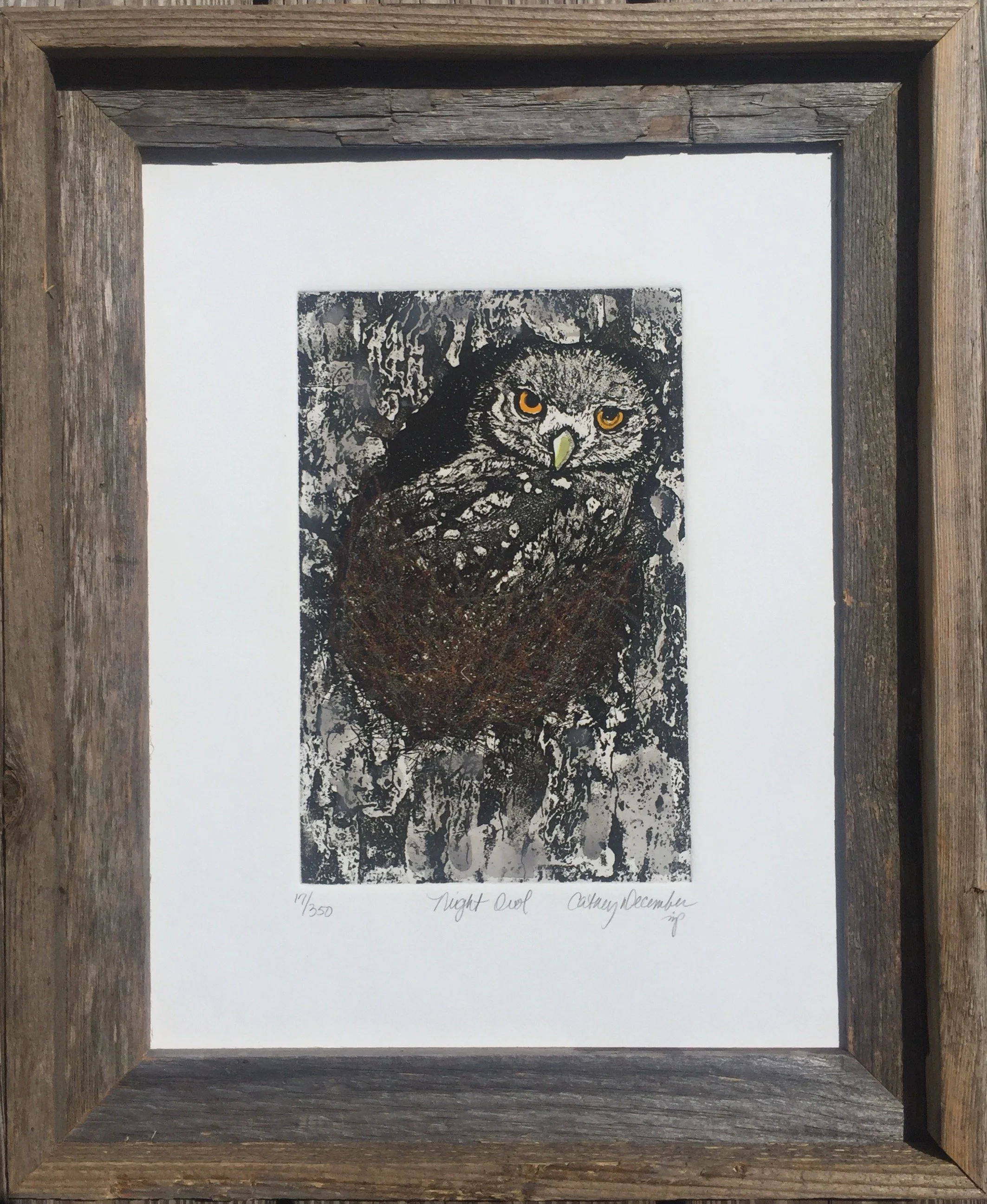 Night Owl Framed