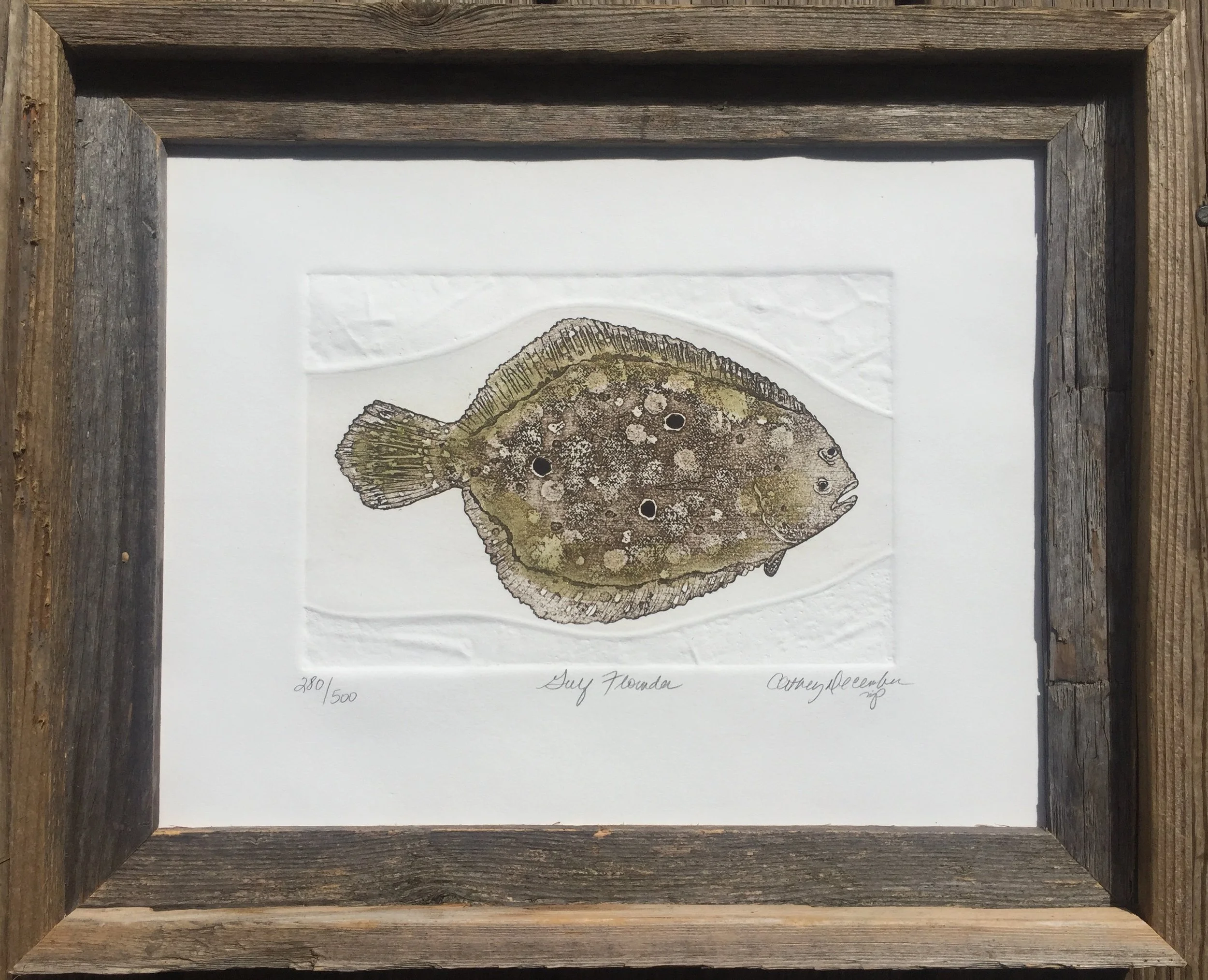 GULF FLOUNDER FRAMED.jpg